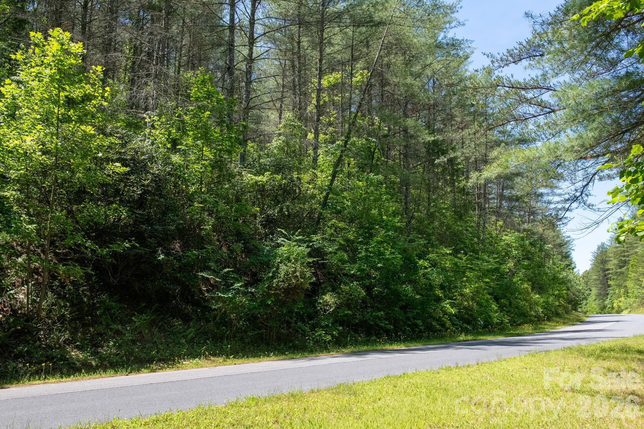 Lot at 000 Narrow Gauge Drive, Lenoir, photo 3 of 22