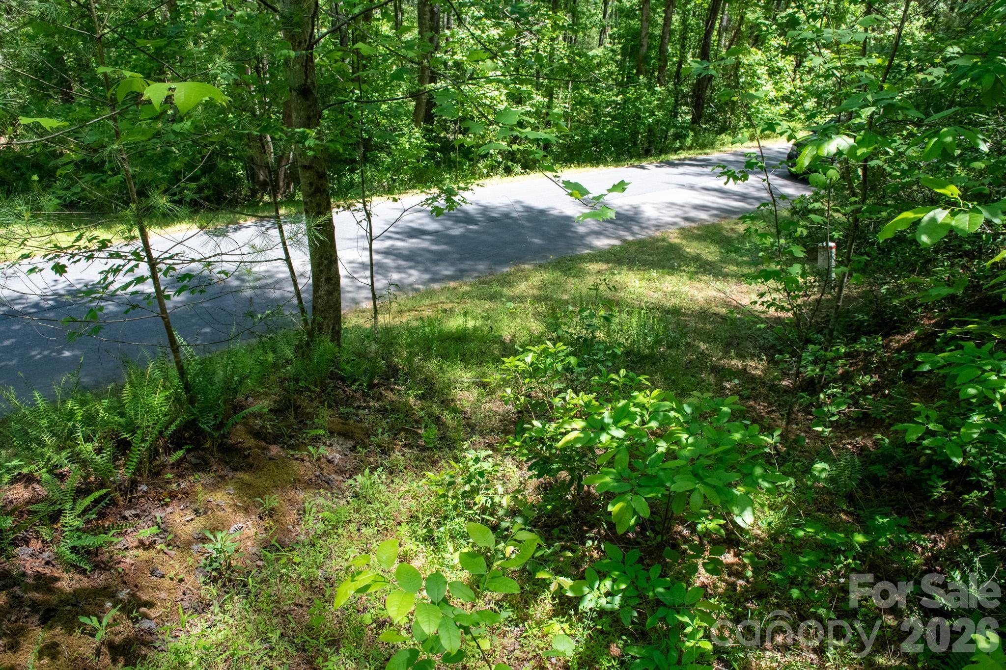Lot at 000 Narrow Gauge Drive, Lenoir, photo 4 of 22