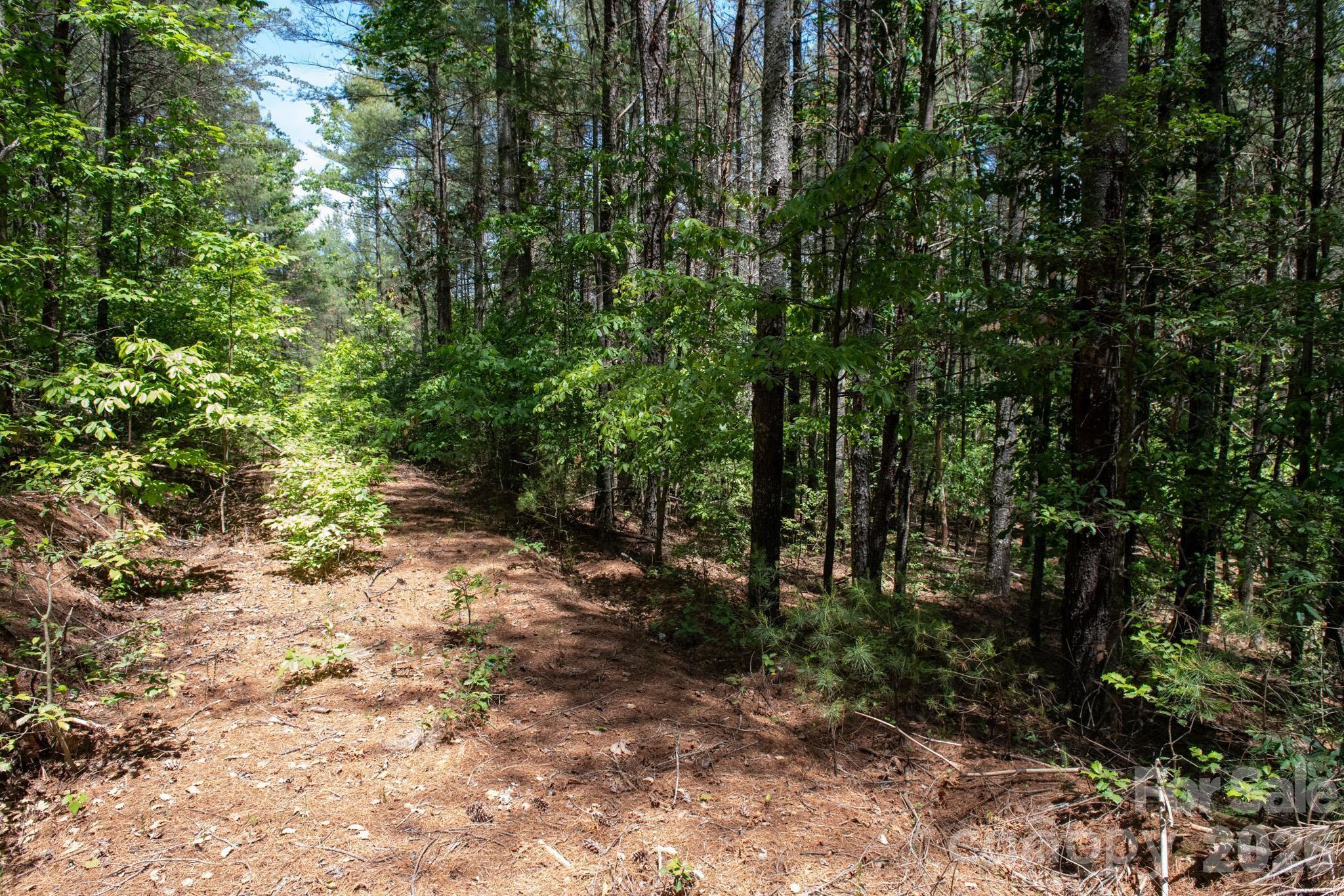 Lot at 000 Narrow Gauge Drive, Lenoir, photo 6 of 22