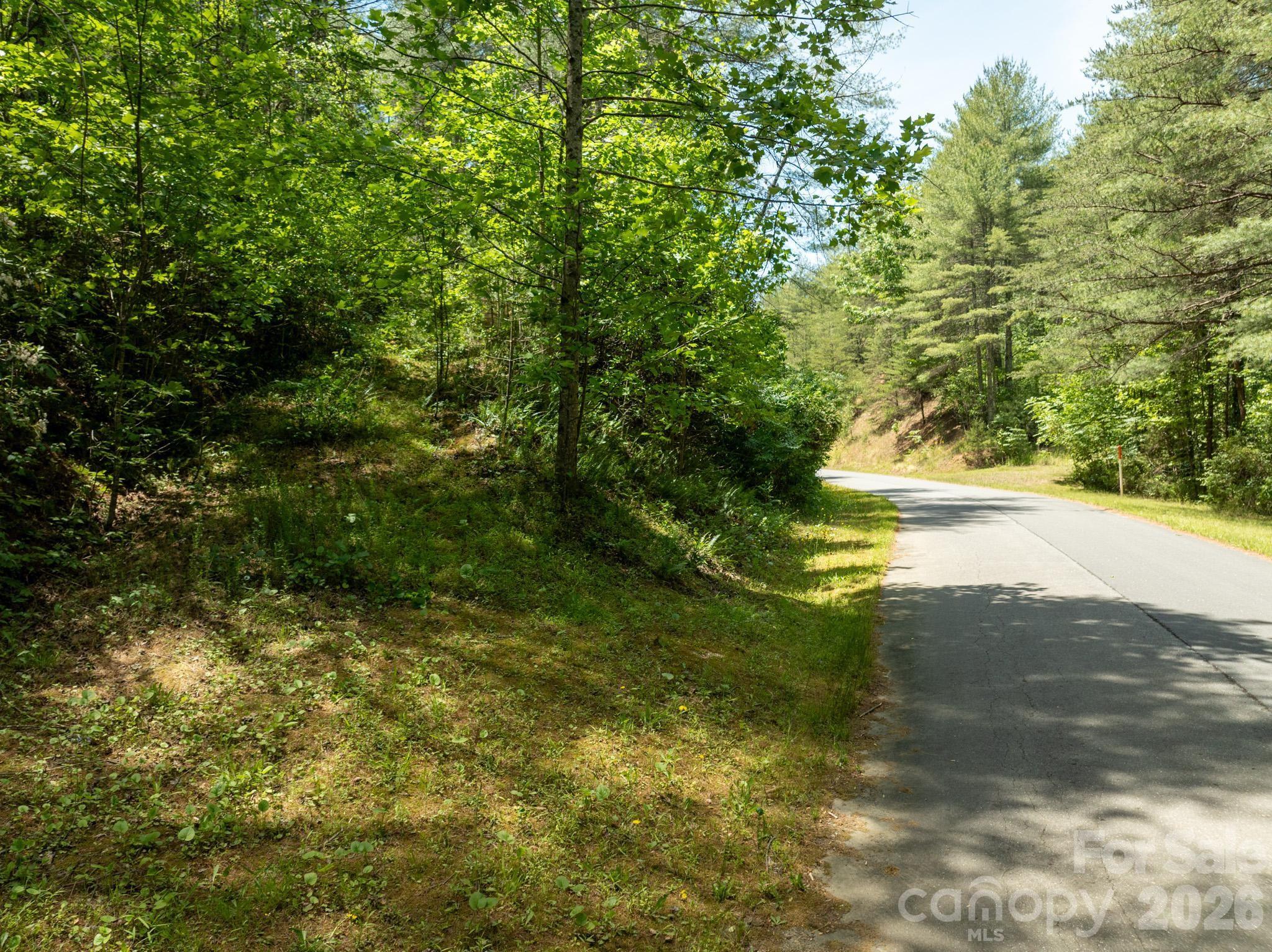Lot at 000 Narrow Gauge Drive, Lenoir, photo 13 of 22