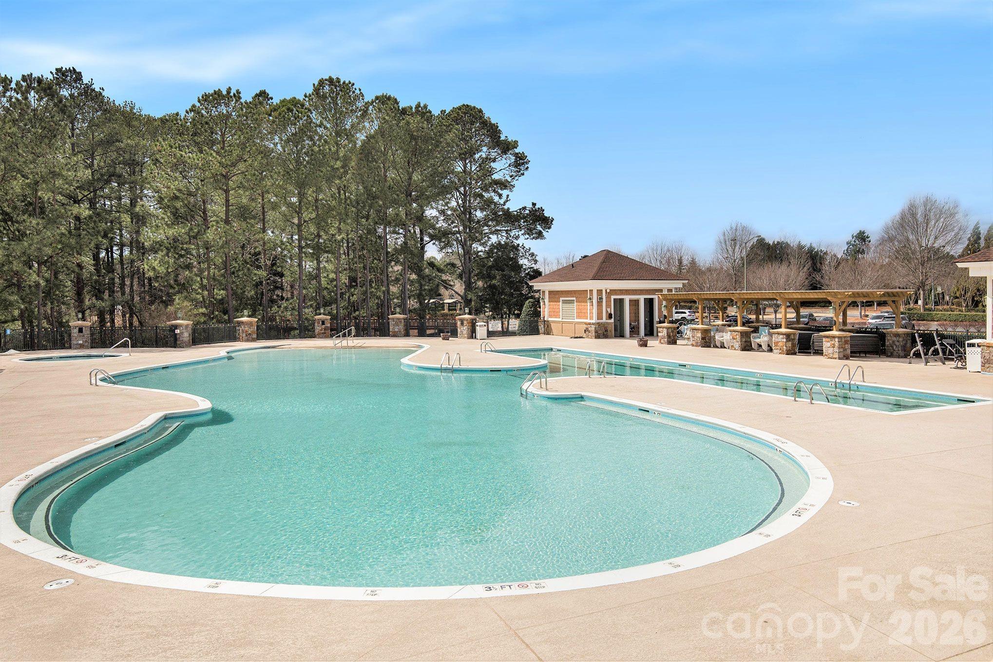 The Lake House Pool - 43041 Mimosa Court, Fort Mill