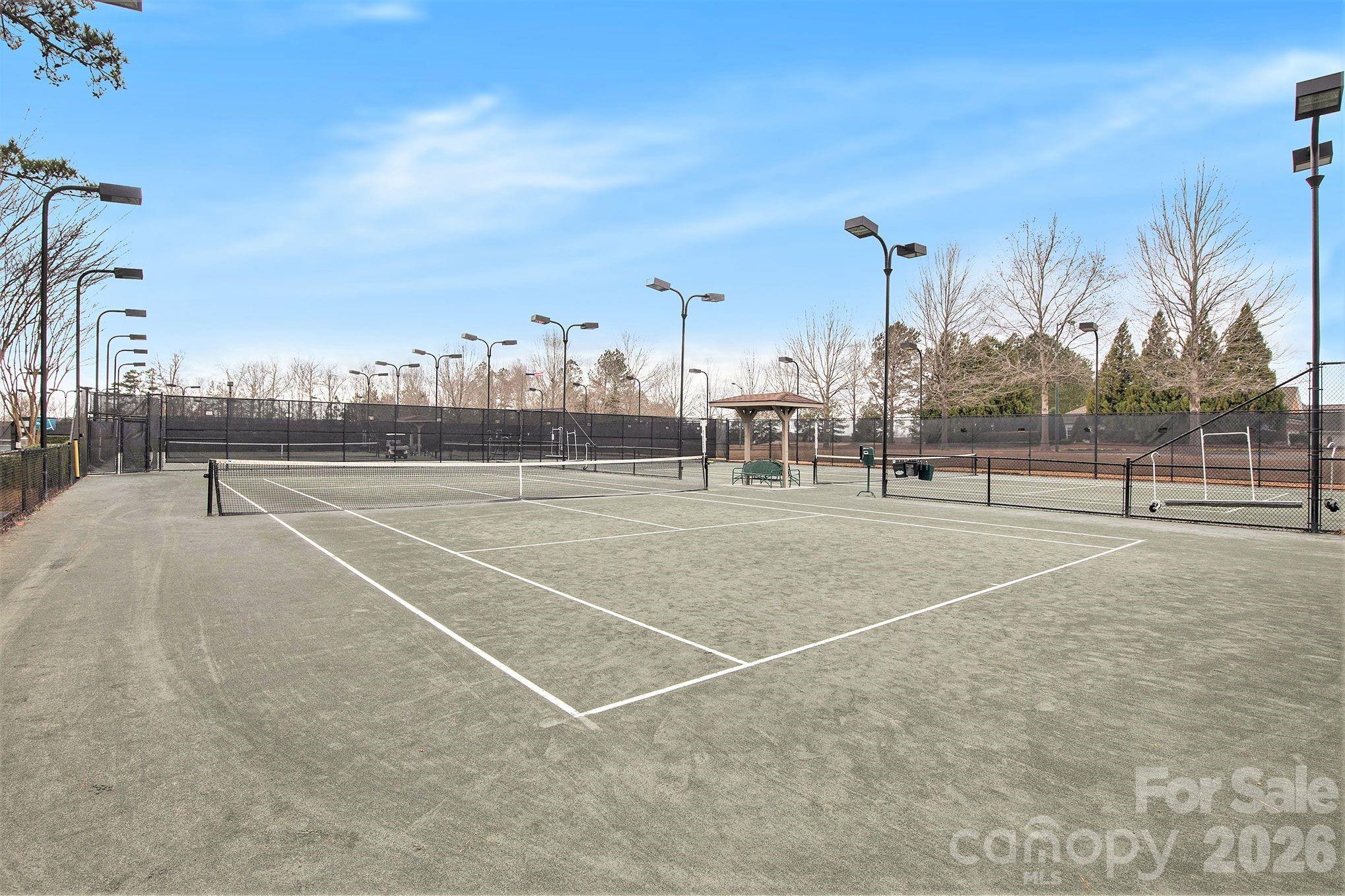Clay Tennis Courts - 43041 Mimosa Court, Fort Mill