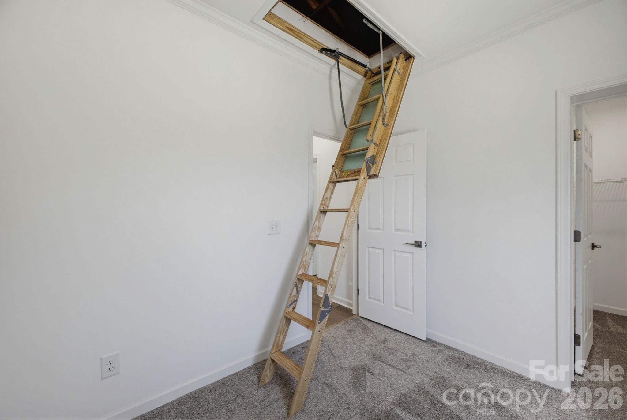 Atic entry - 111 Sarah Avenue, Newton