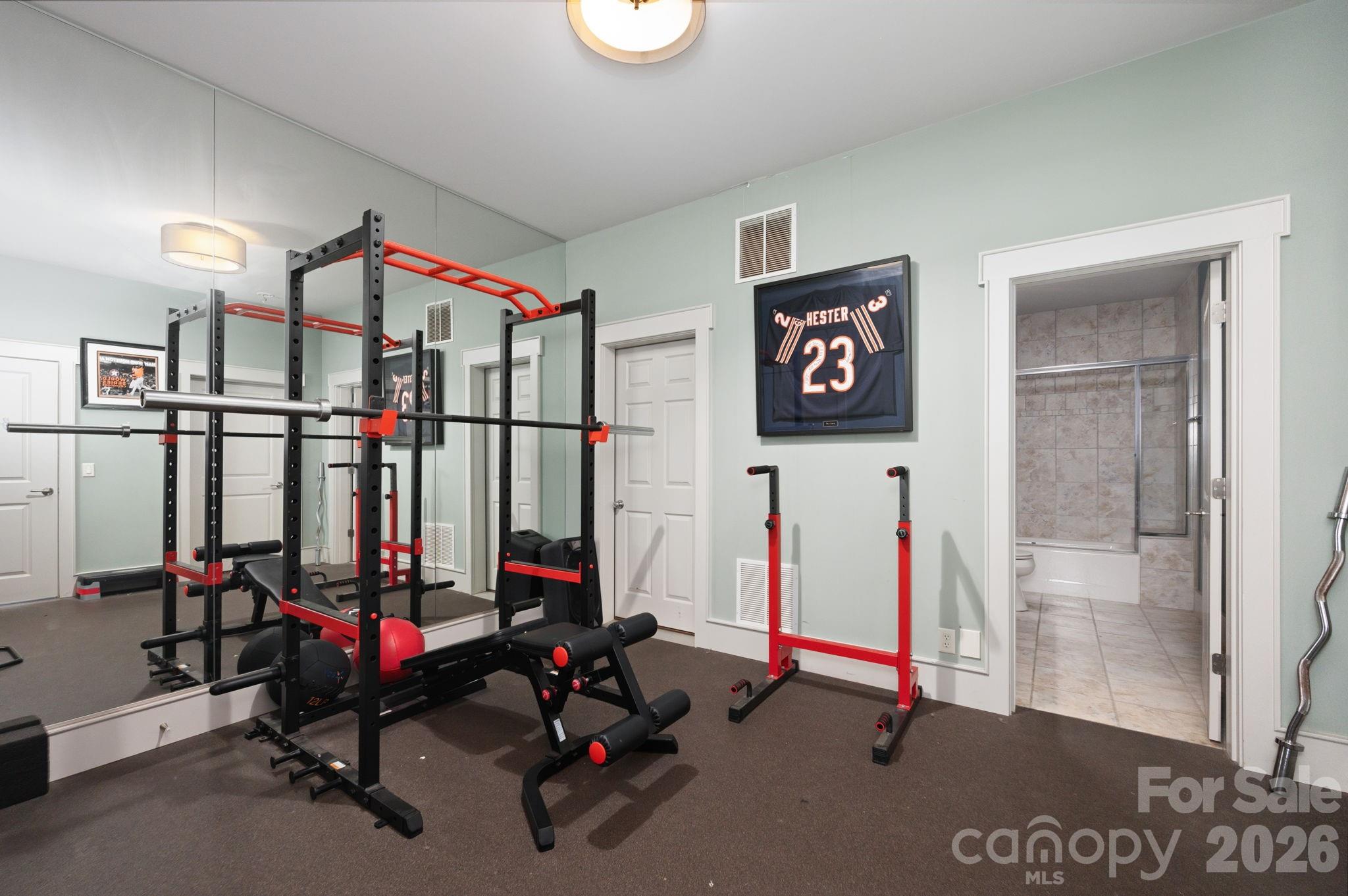 Lower level gym - 31 Bradford Vistas Drive, Fletcher