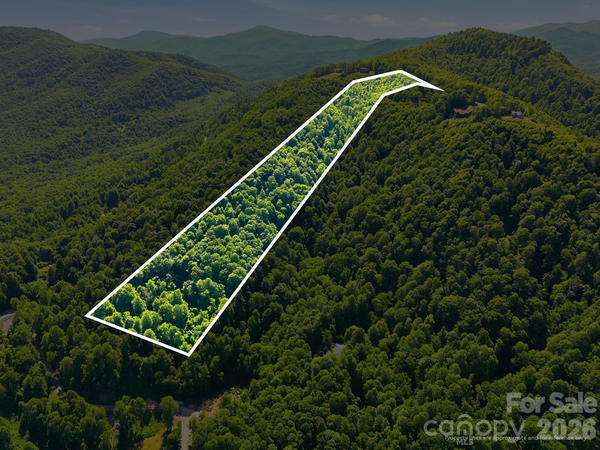 Estimated Property Outline - 99999 Cliffledge Trail, Black Mountain