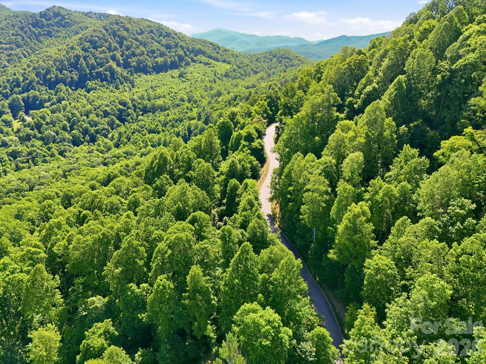 Community Paved road - 99999 Cliffledge Trail, Black Mountain