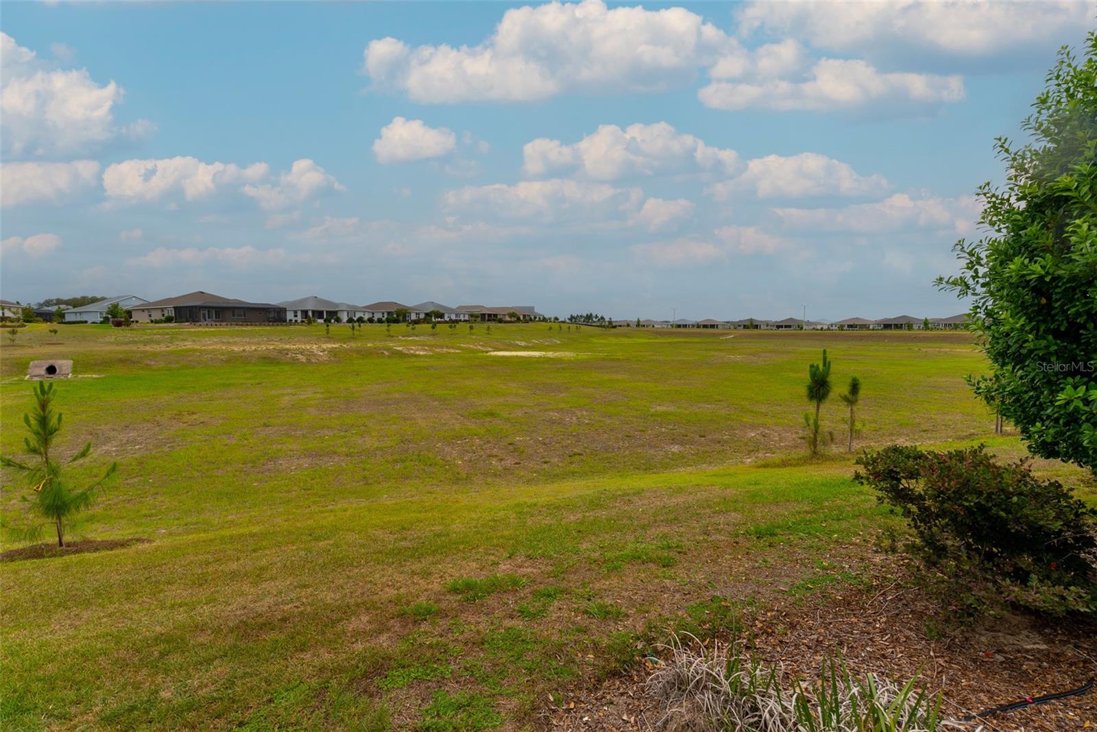 Single Family Residence at 10067 SW 89TH LOOP, OCALA, photo 6 of 55