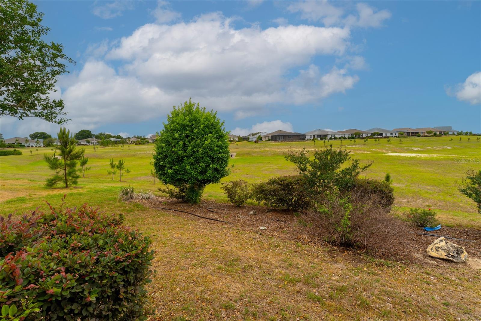 Single Family Residence at 10067 SW 89TH LOOP, OCALA, photo 7 of 55