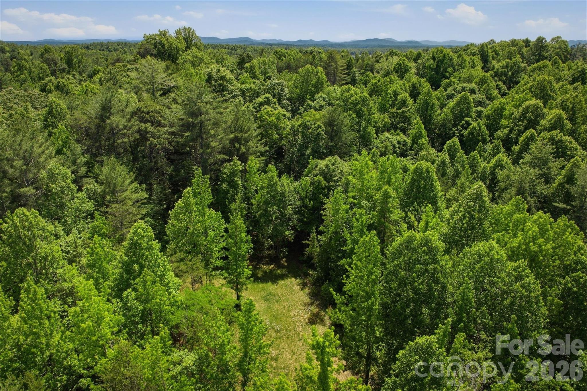 Acreage at 0 NC 126 Road, Morganton, photo 5 of 5