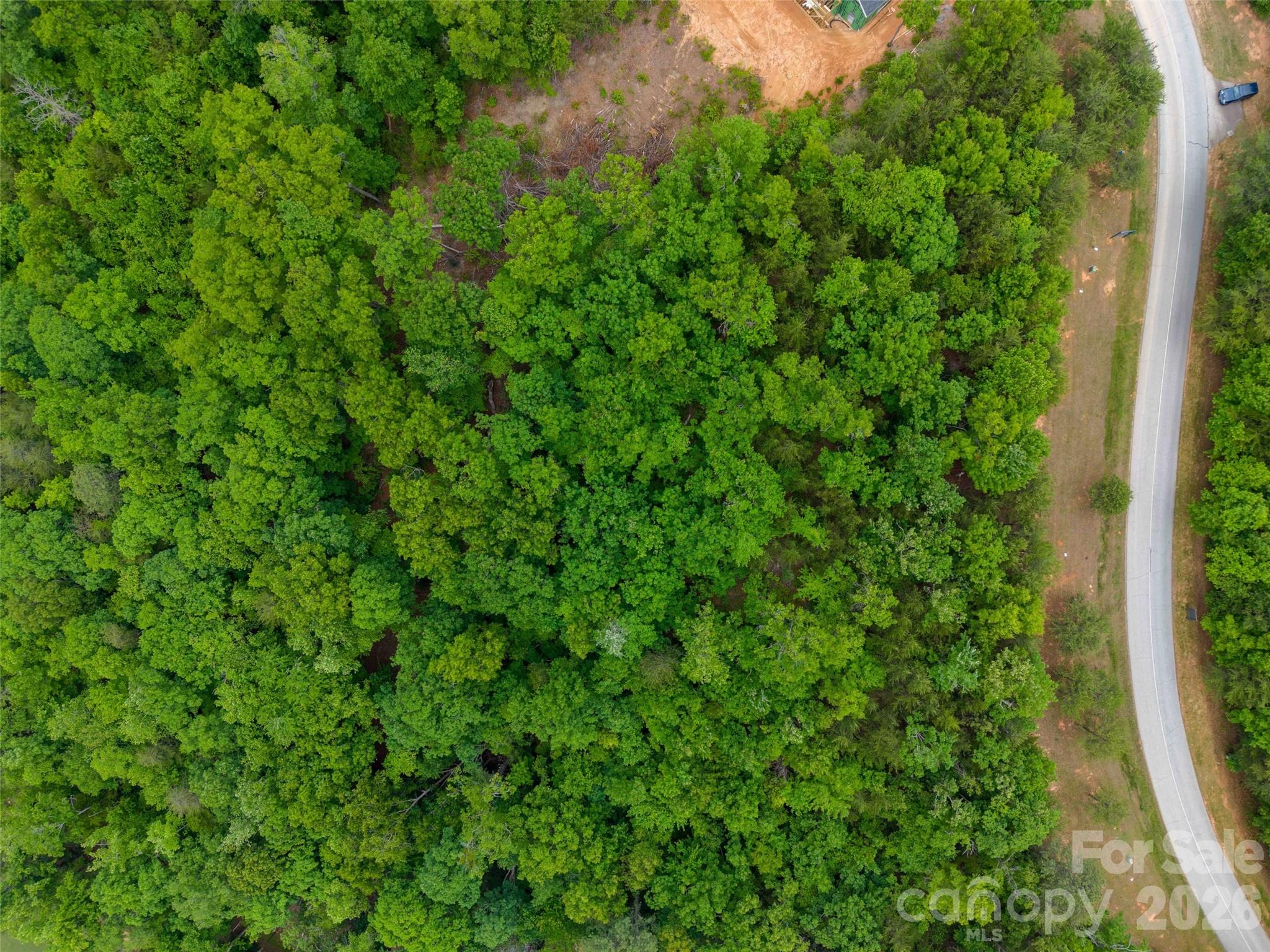 Lot at 38 Deep Gap Farm Road E, Mill Spring, photo 10 of 20
