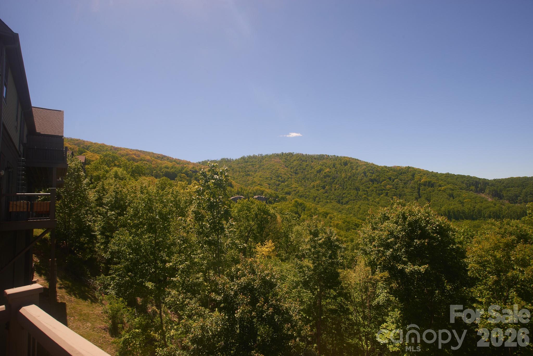 Exceptional views of Old Growth Forest - 427 Spring Rock Road, Burnsville