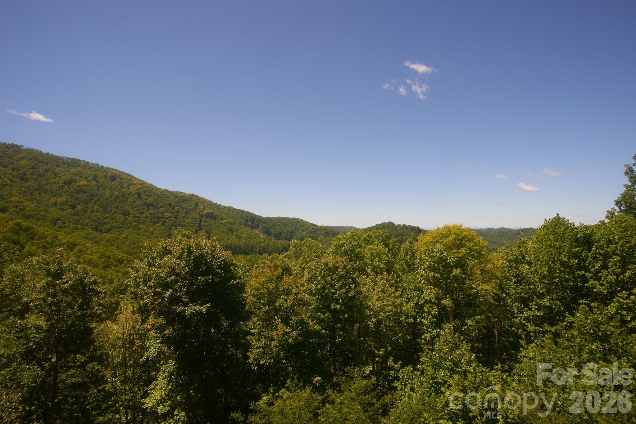 3,800' elevation - 427 Spring Rock Road, Burnsville