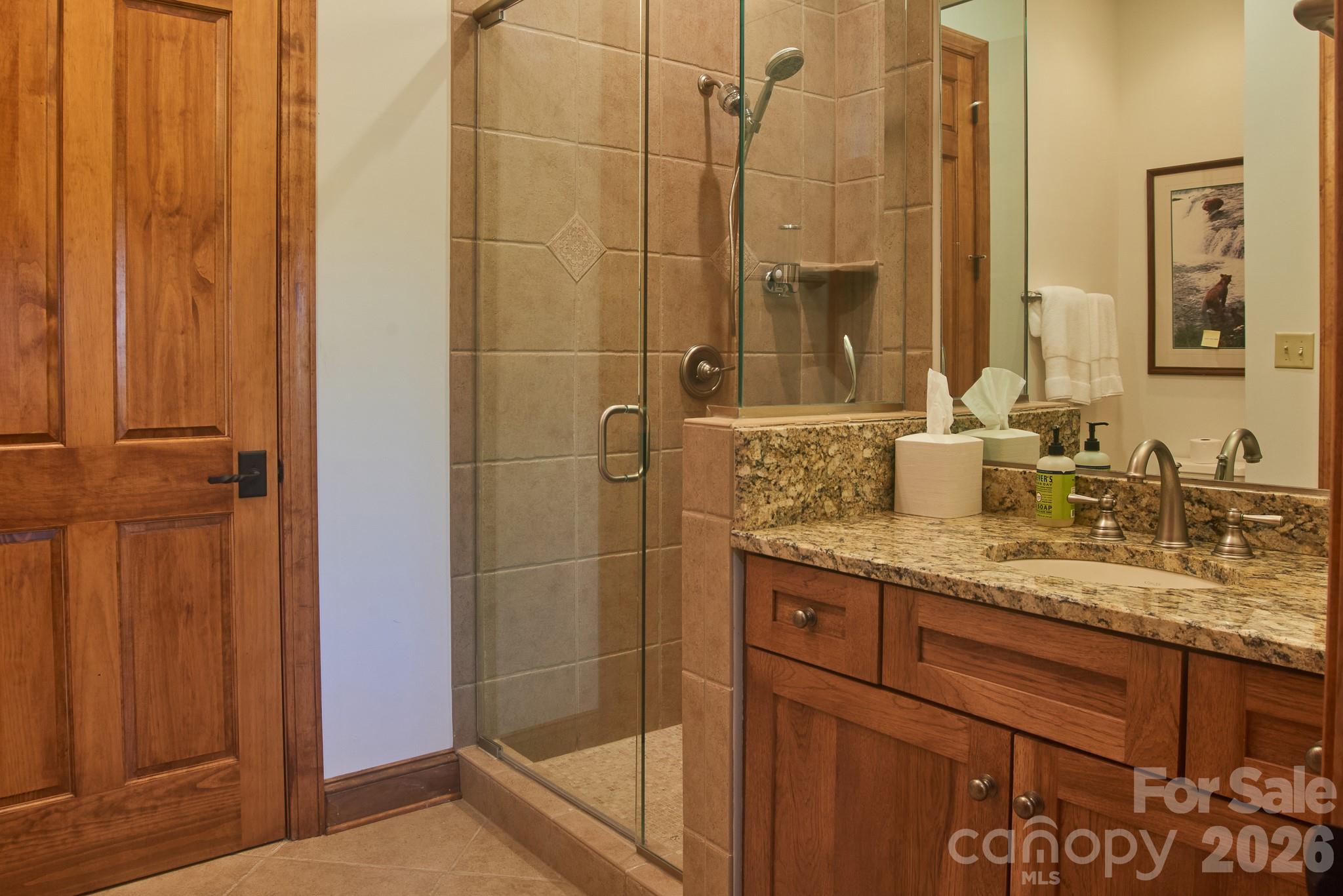 Basement - Fullbath with full-size Storage Room behind that door! - 427 Spring Rock Road, Burnsville