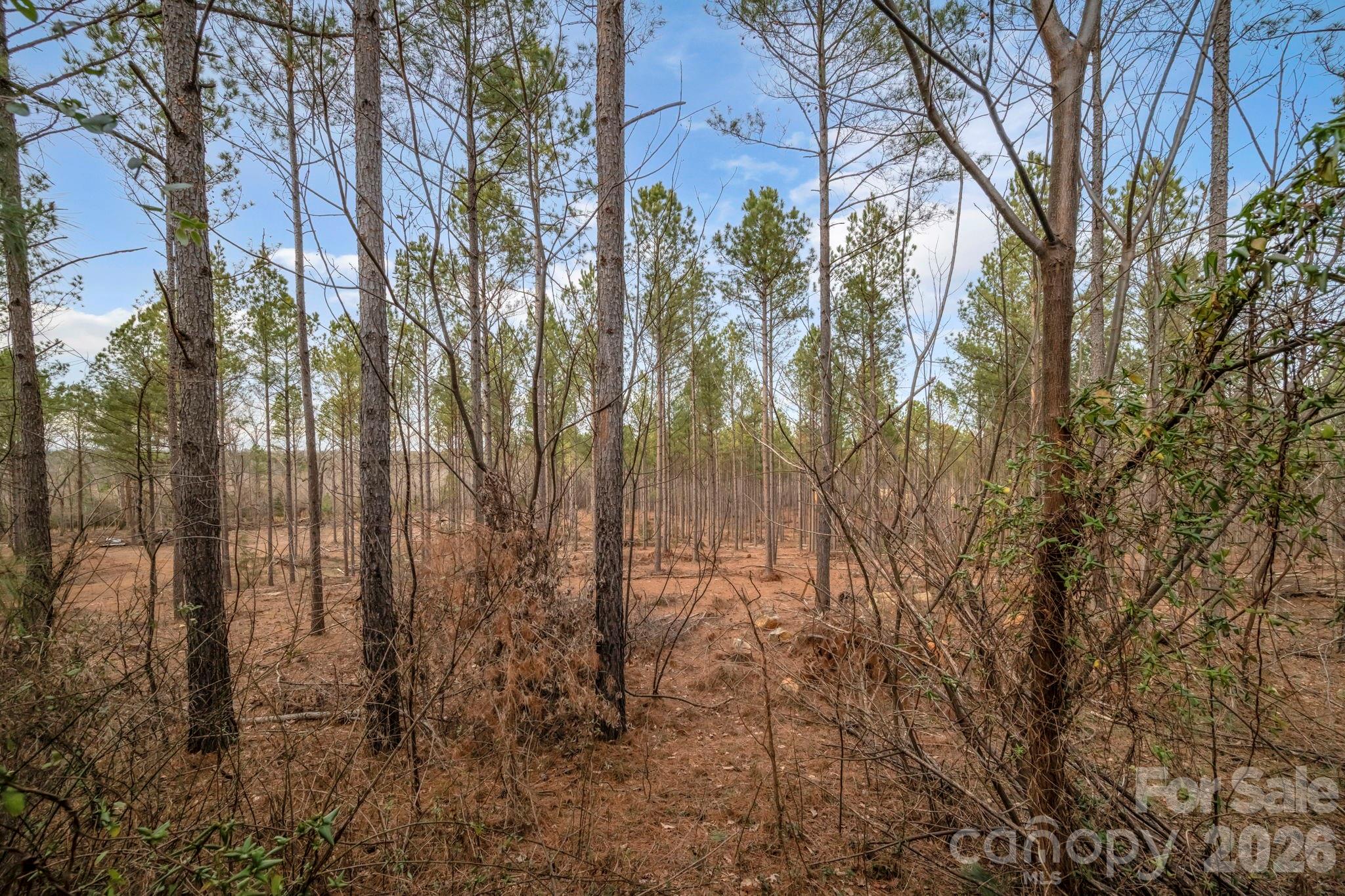 23 acres perfect for a private residence, hunting property, or family compound. - 7812-A Hwy 742 Highway, Marshville