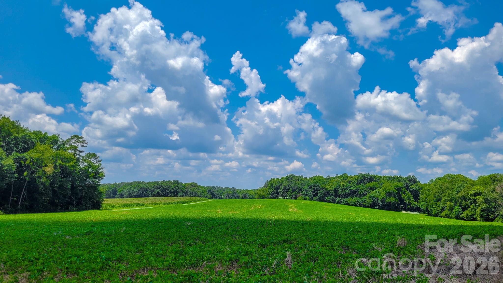 Acreage at 7908 Concord Highway, Monroe, photo 3 of 10