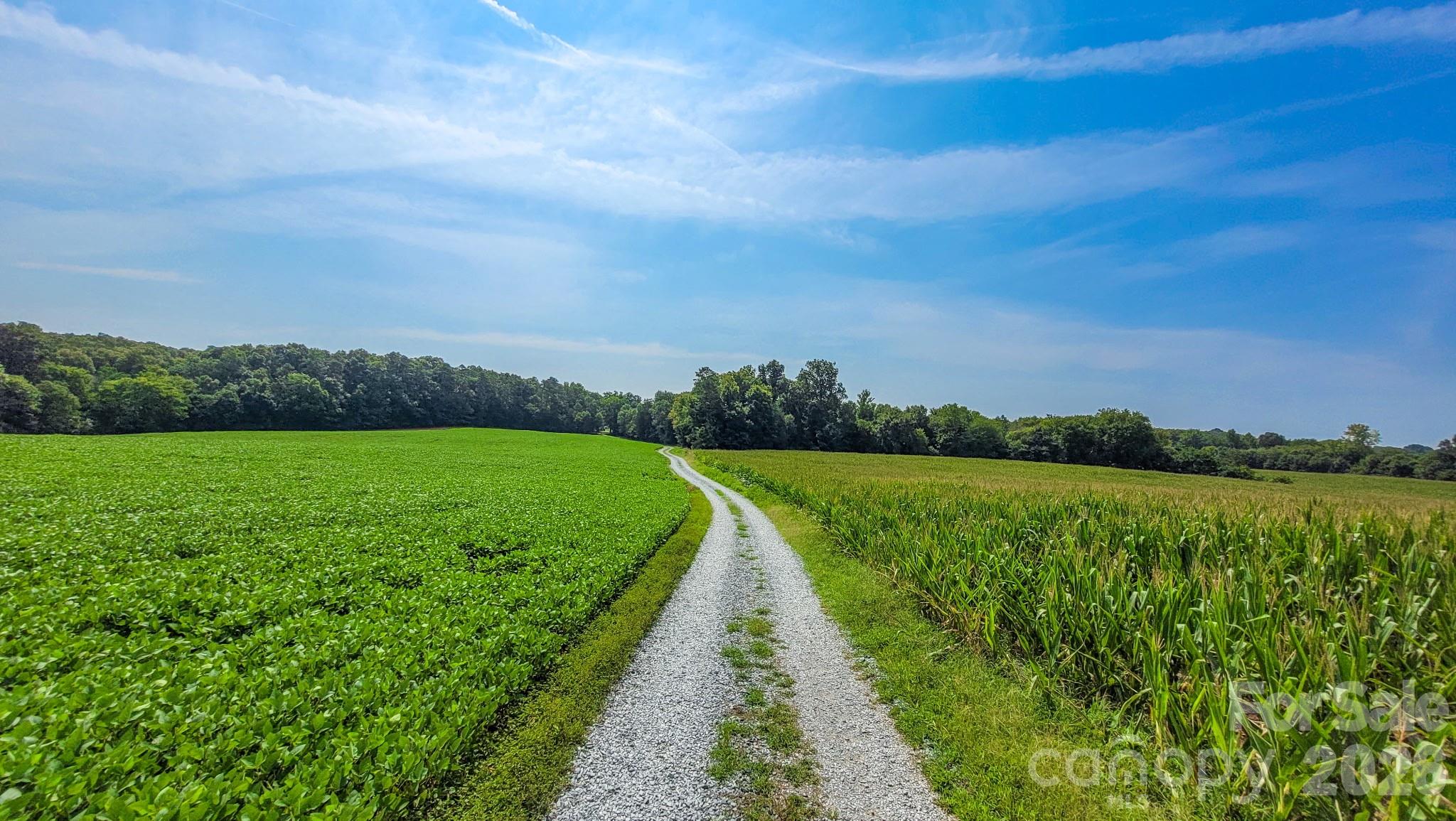 Acreage at 7908 Concord Highway, Monroe, photo 4 of 10