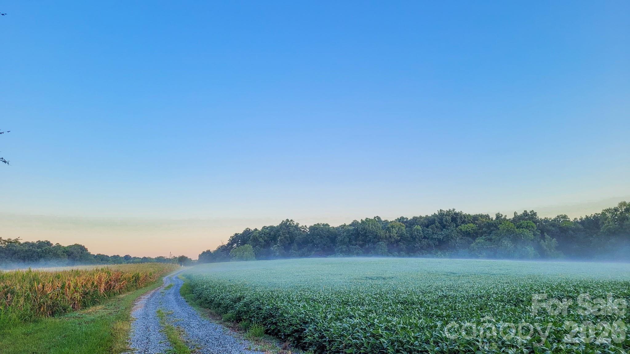 Acreage at 7908 Concord Highway, Monroe, photo 5 of 10