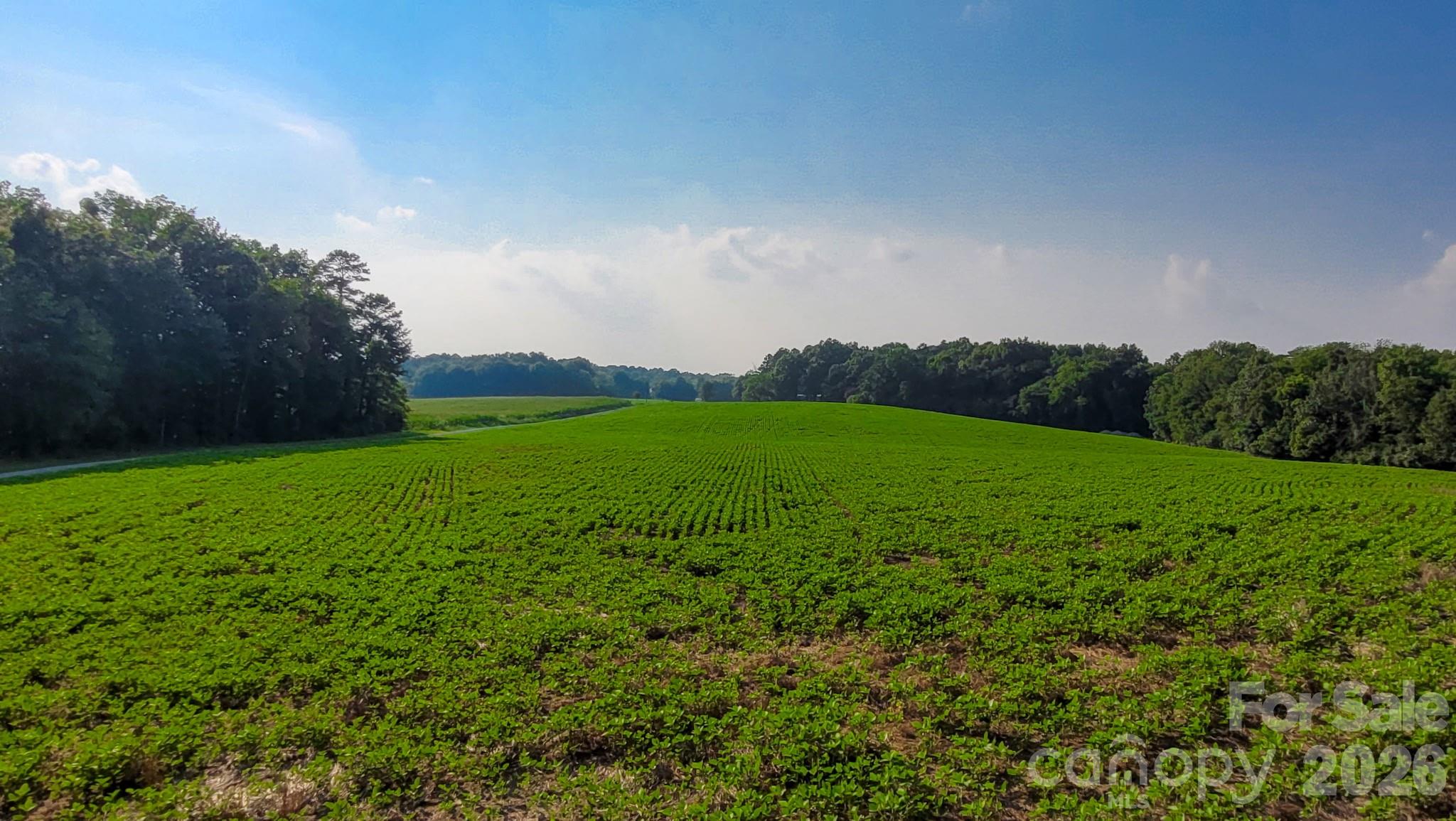 Acreage at 7908 Concord Highway, Monroe, photo 6 of 10