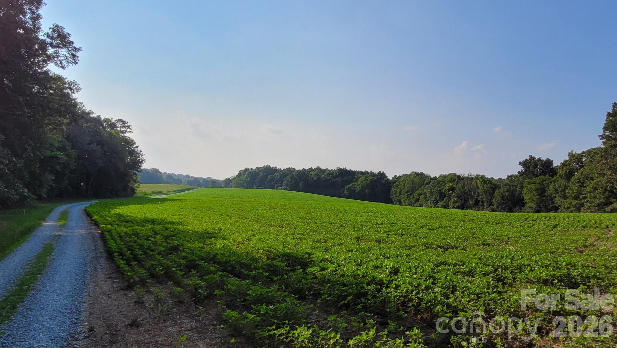 Acreage at 7908 Concord Highway, Monroe, photo 7 of 10