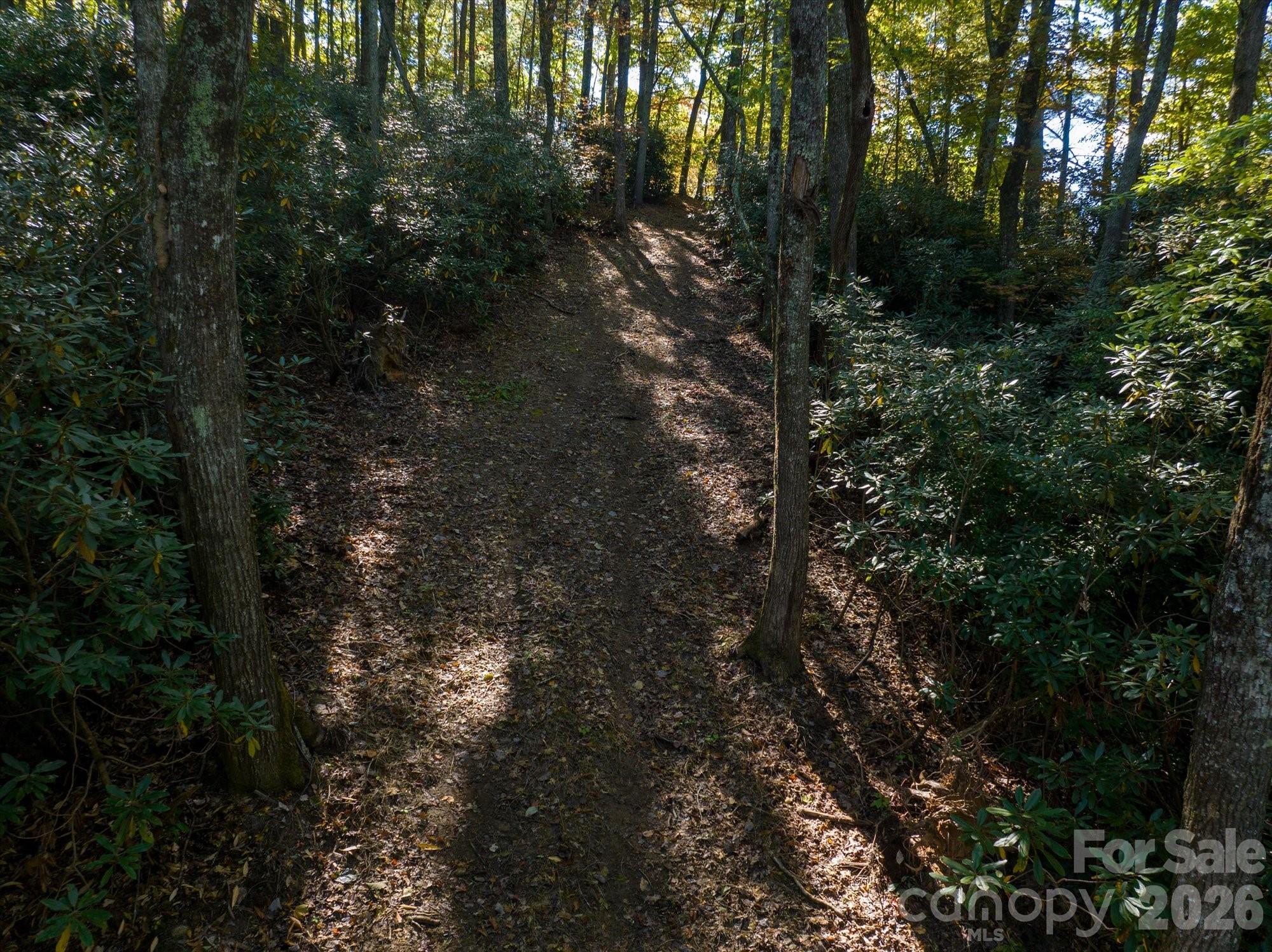 Acreage at 0 Big Hungry Road, Flat Rock, photo 3 of 40