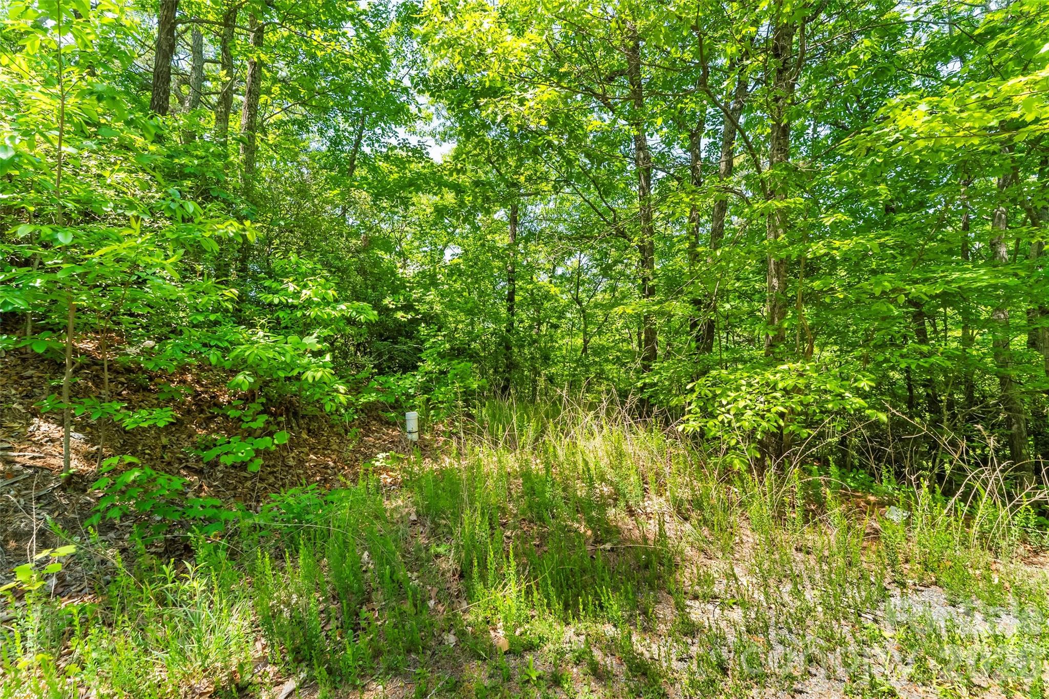 Lot at 1620 North Haven Drive, Black Mountain, photo 4 of 12