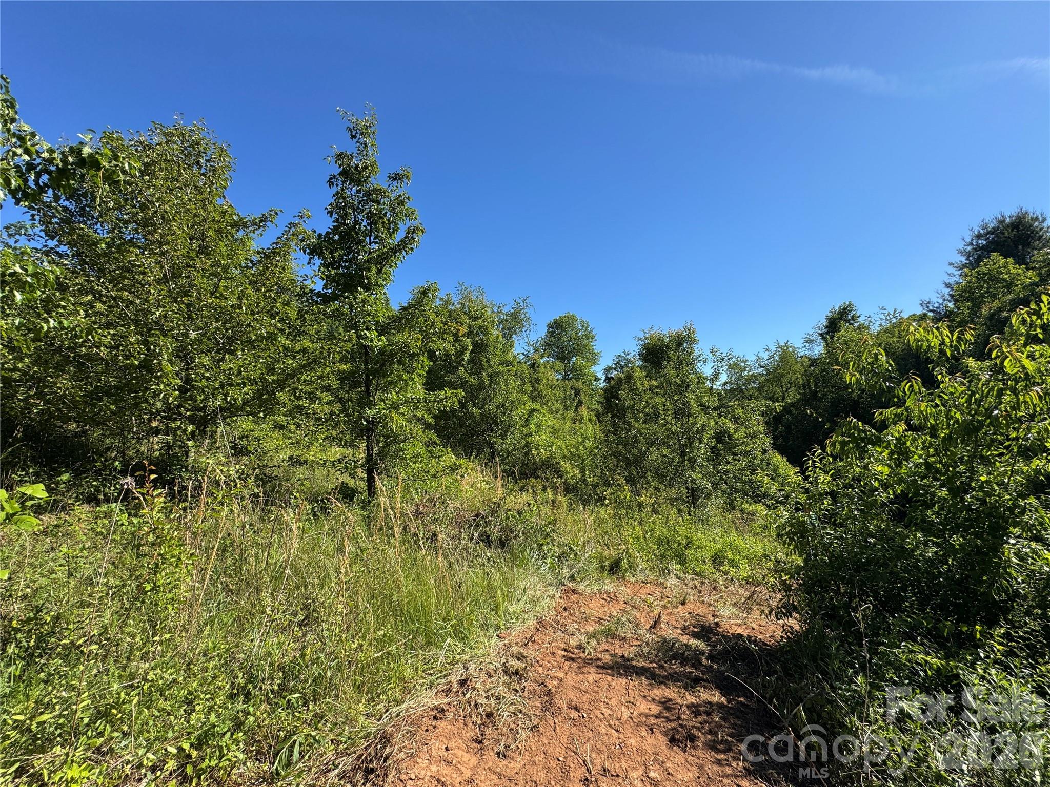 Lot at 99999 Duckett Road, Candler, photo 8 of 28