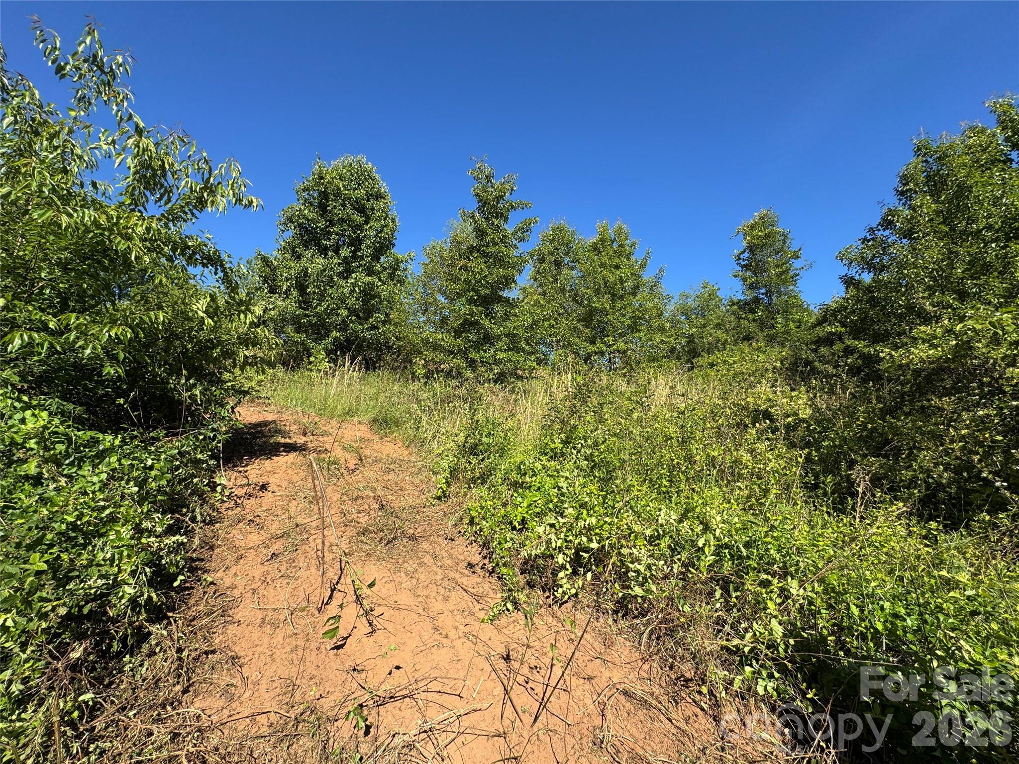 Lot at 99999 Duckett Road, Candler, photo 11 of 28