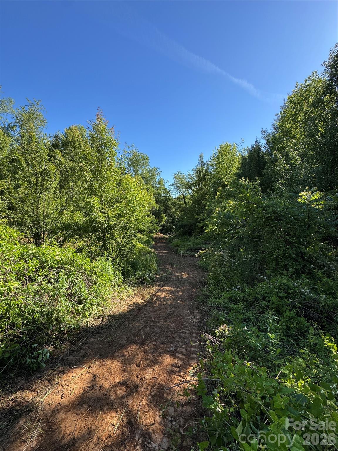 Lot at 99999 Duckett Road, Candler, photo 12 of 28