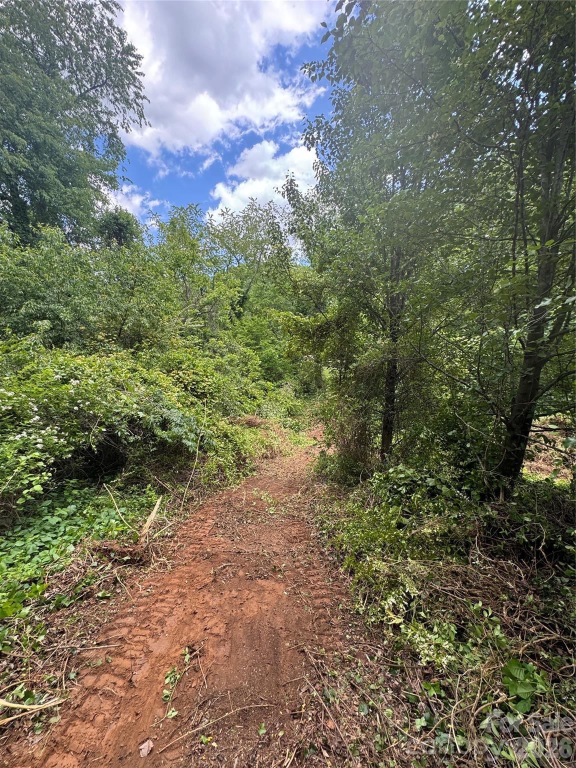 Lot at 99999 Duckett Road, Candler, photo 13 of 28