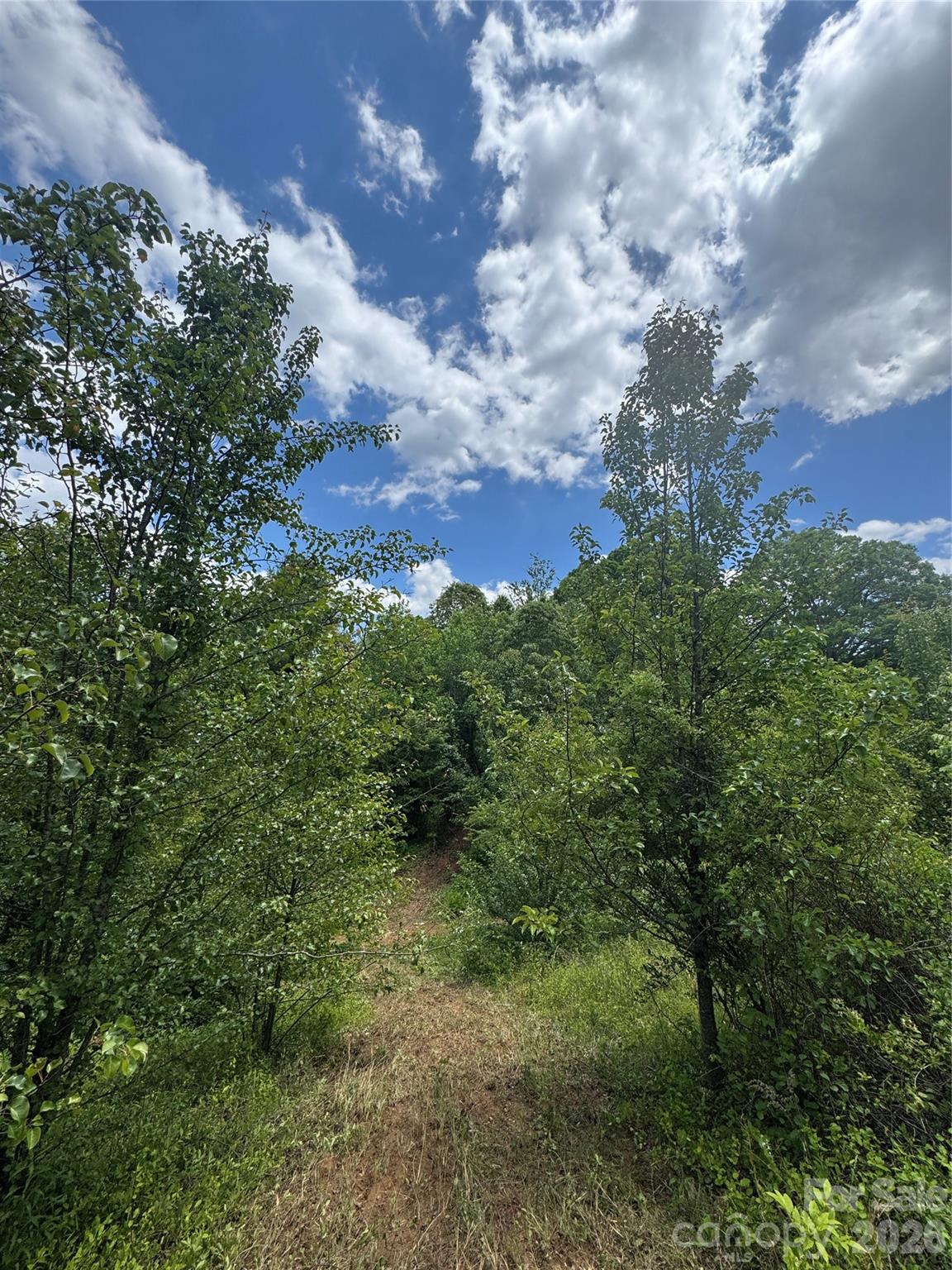 Lot at 99999 Duckett Road, Candler, photo 14 of 28