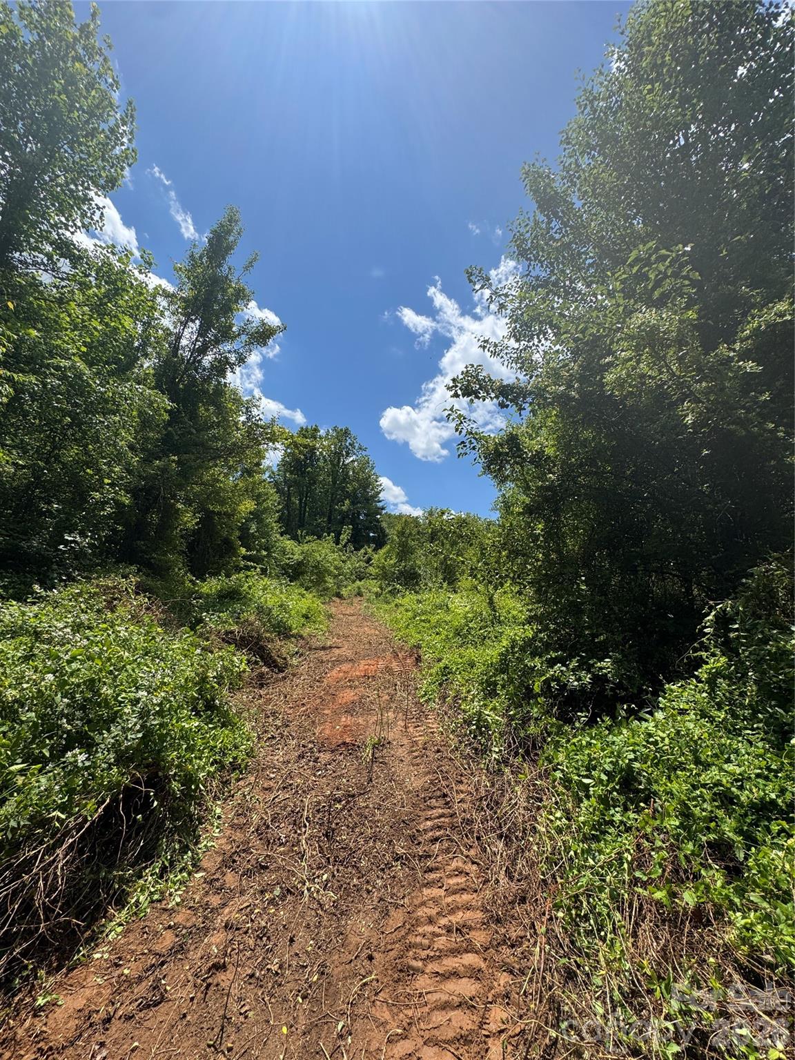 Lot at 99999 Duckett Road, Candler, photo 15 of 28