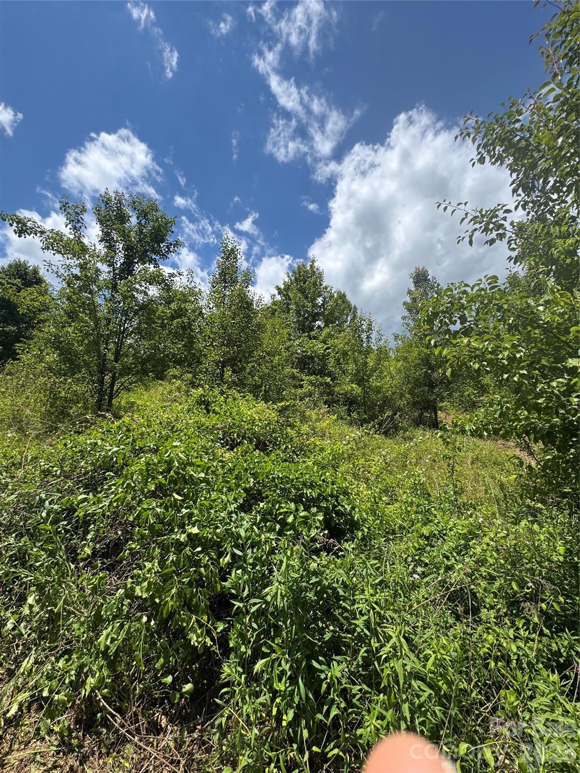 Lot at 99999 Duckett Road, Candler, photo 16 of 28