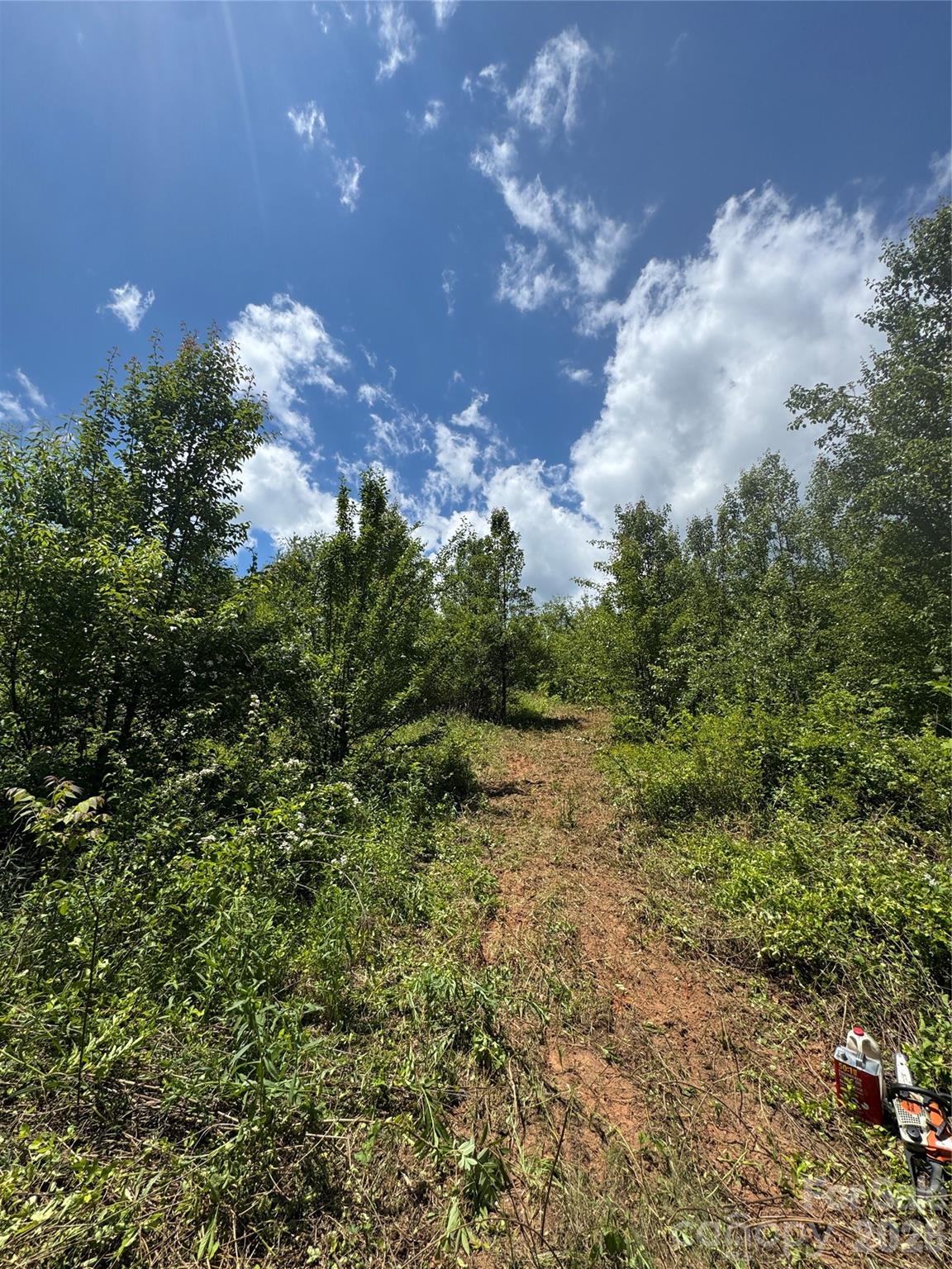 Lot at 99999 Duckett Road, Candler, photo 17 of 28