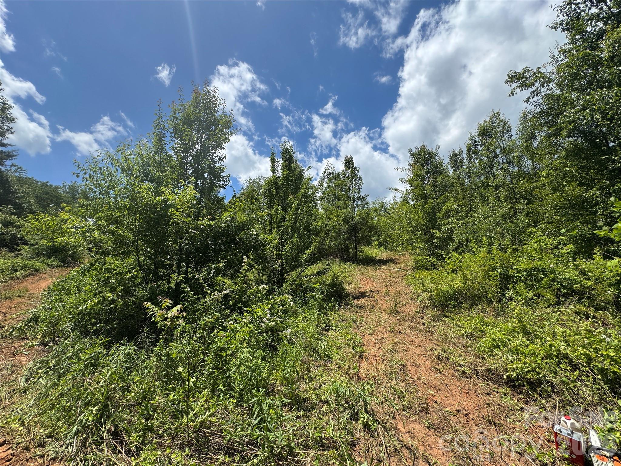 Lot at 99999 Duckett Road, Candler, photo 10 of 28