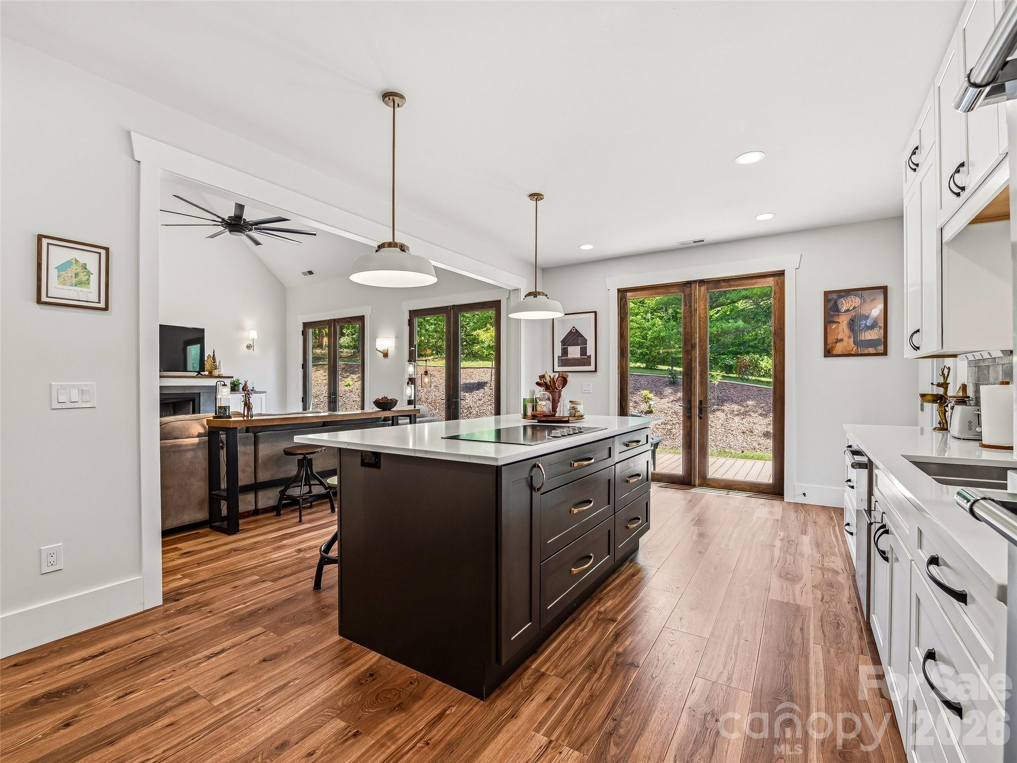 Single Family Residence at 158 Trellem Trail, Hendersonville, photo 19 of 48