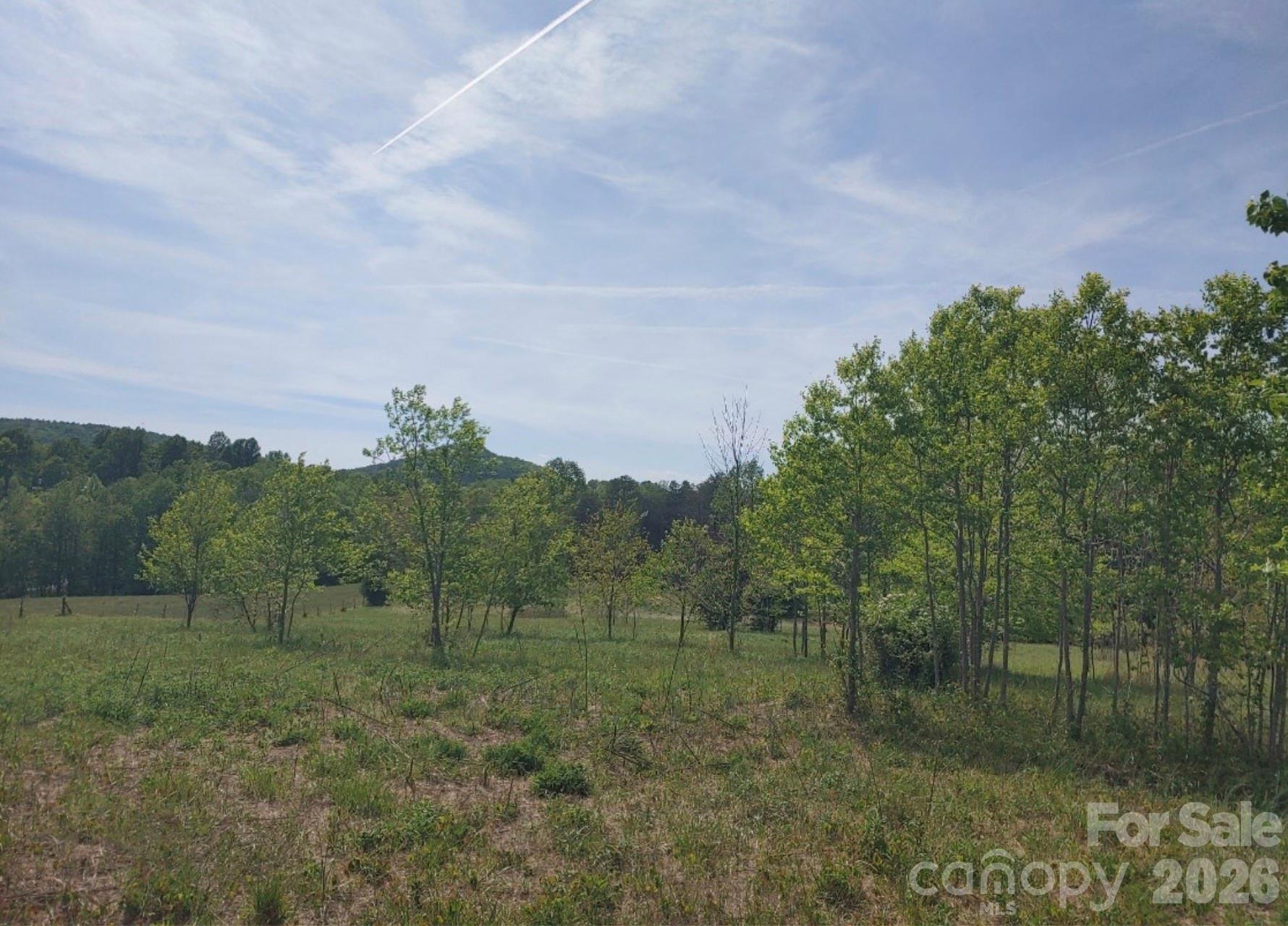Lot at 2809 Landis Lane, Nebo, photo 9 of 9