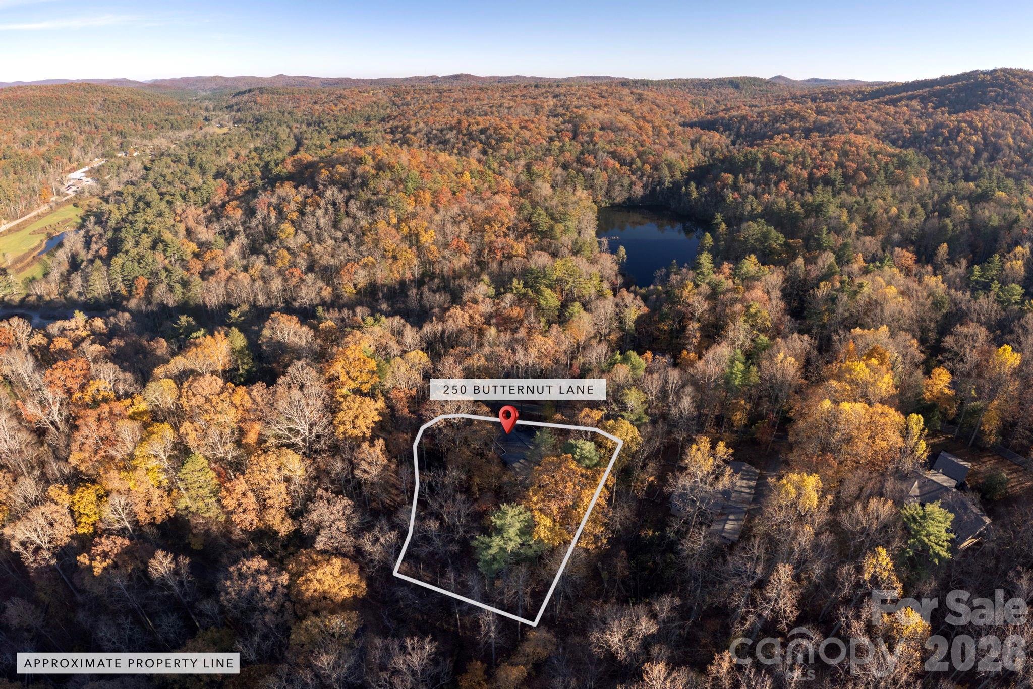 Aerial View - 250 Butternut Lane, Brevard