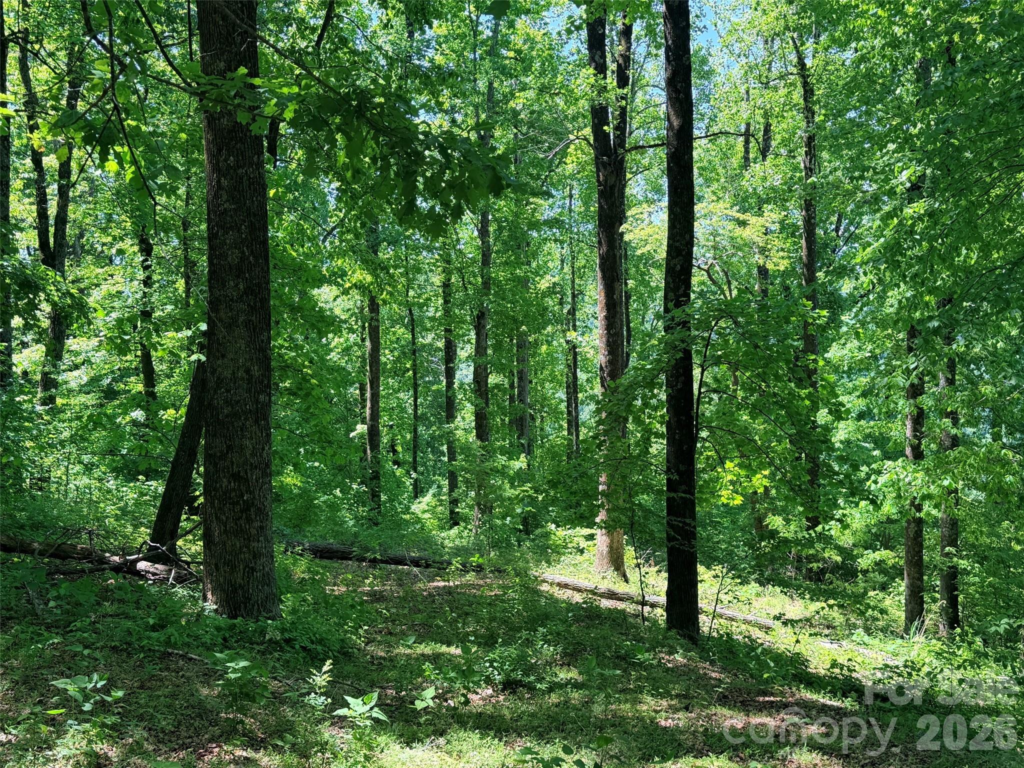 Acreage at Lot 10 Timbercliff Trail, Black Mountain, photo 2 of 12