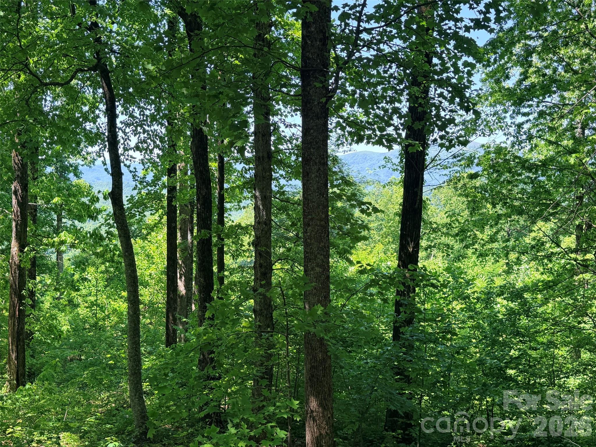 Acreage at Lot 10 Timbercliff Trail, Black Mountain, photo 3 of 12