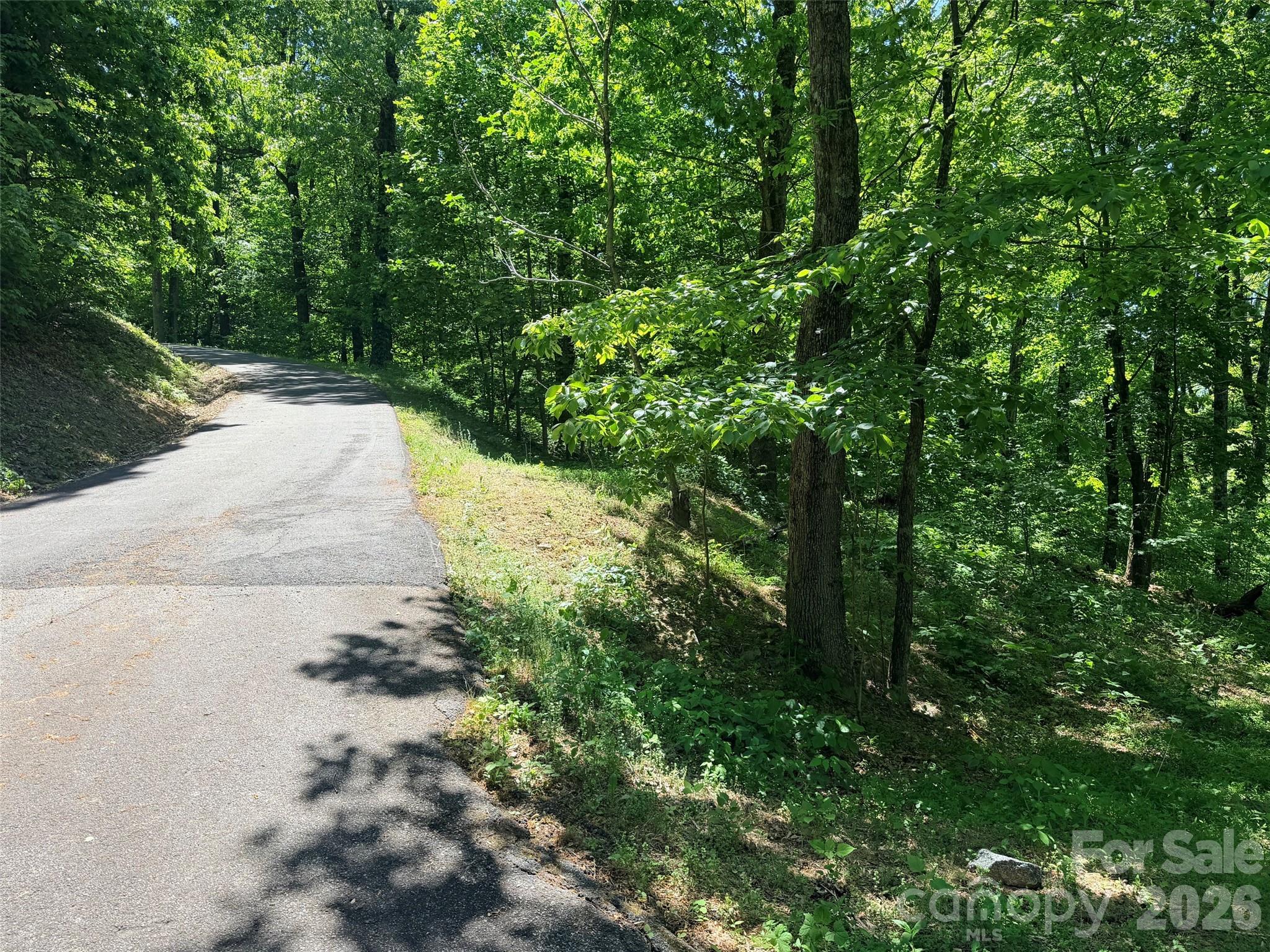 Acreage at Lot 10 Timbercliff Trail, Black Mountain, photo 12 of 12