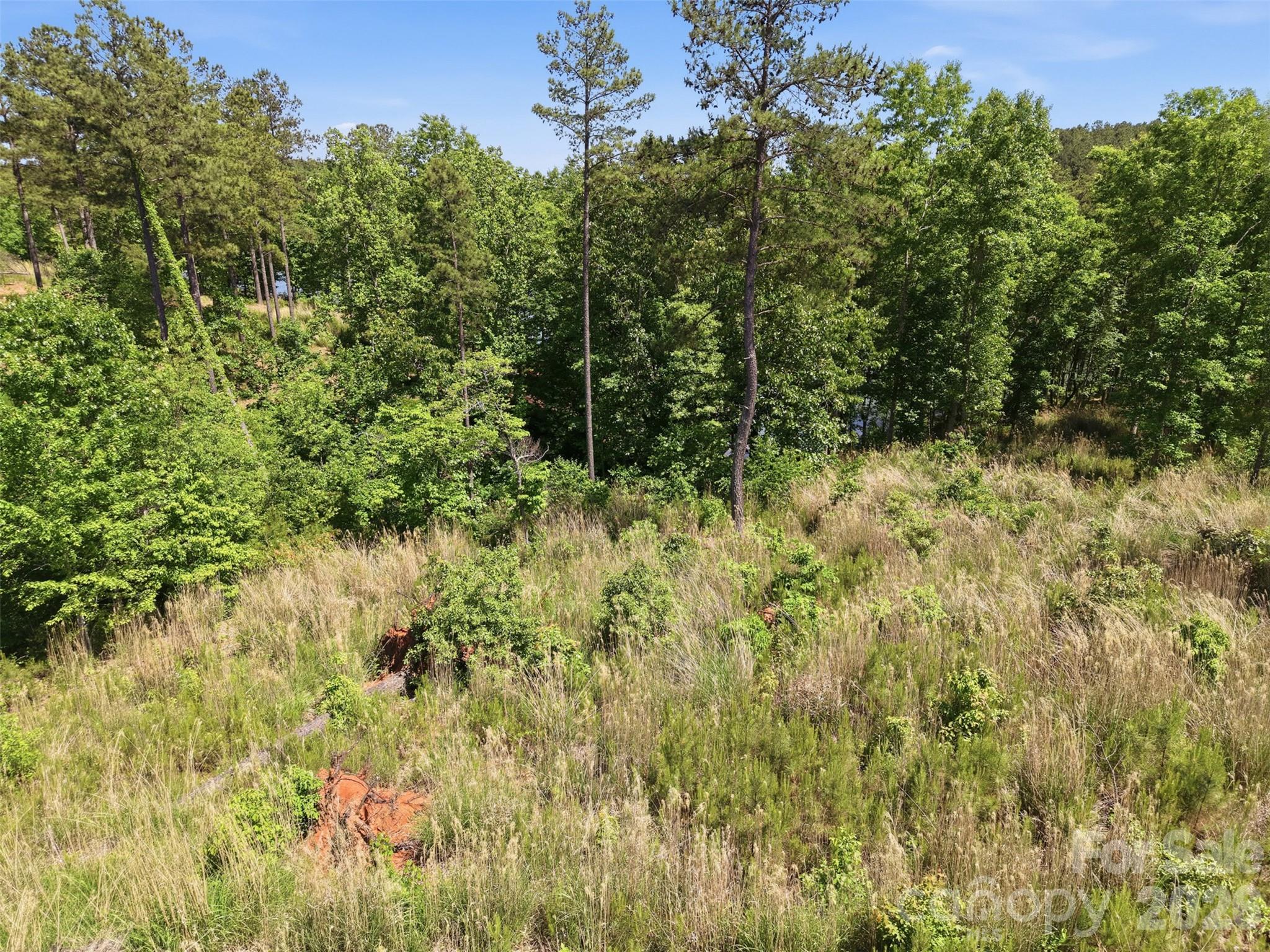 Lot at 2326 Princeton Mountain, Connelly Springs, photo 5 of 12