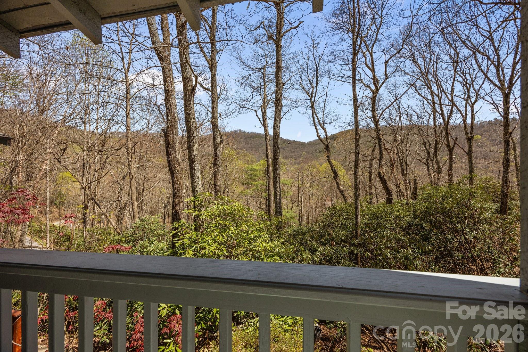 MOUNTAIN VIEWS - 63 Chestnut Forest Road, Fairview
