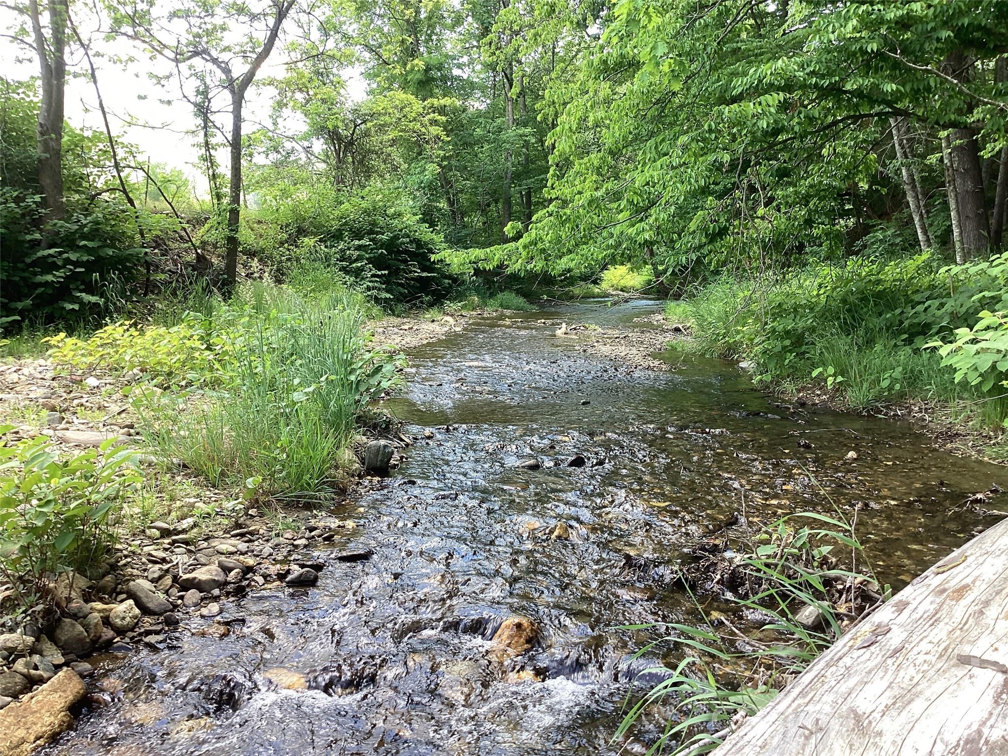 Acreage at 00 Bolens Creek Road, Burnsville, photo 2 of 16