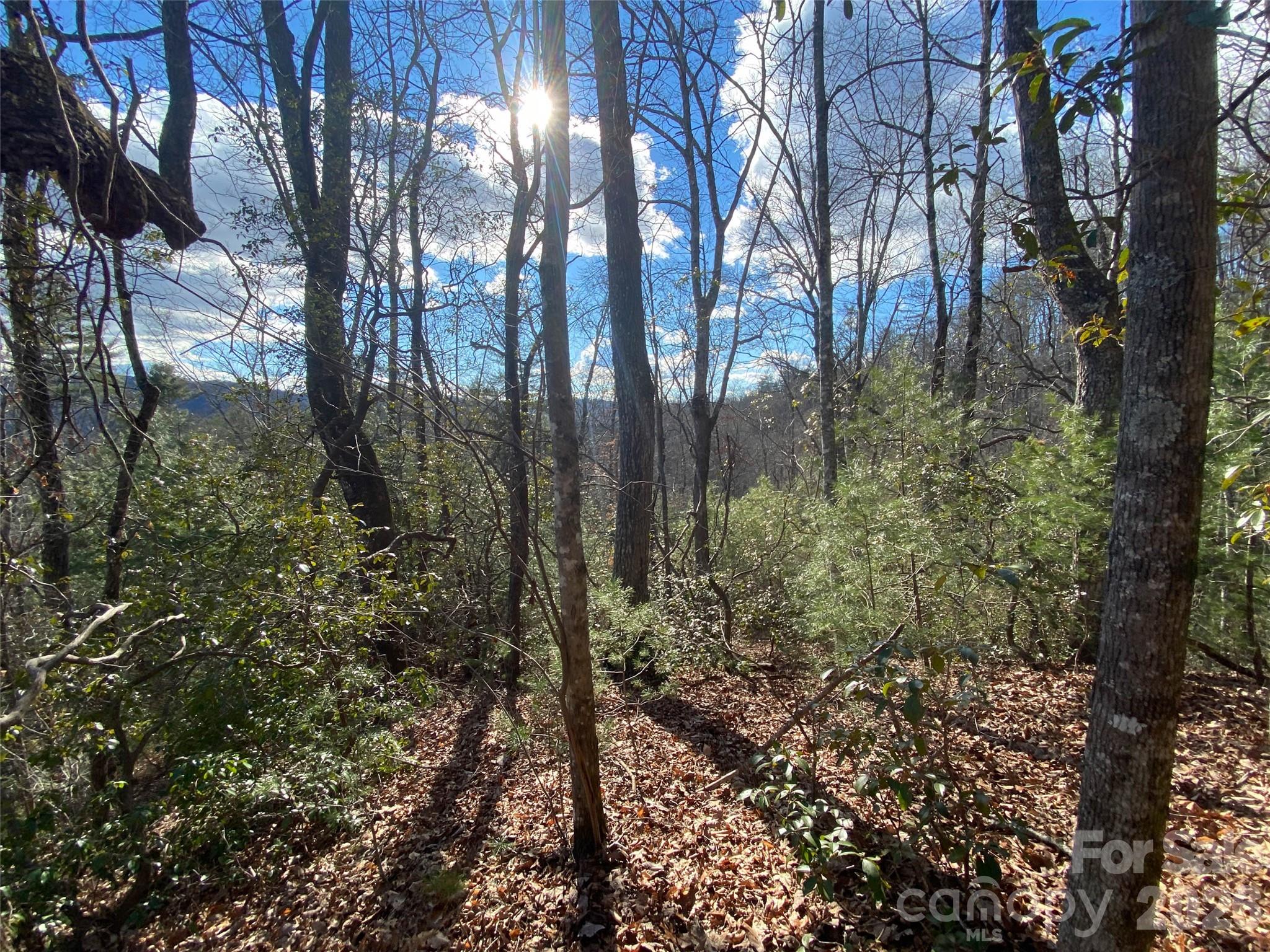 Lot at 999 High Point Trail, Brevard, photo 2 of 22