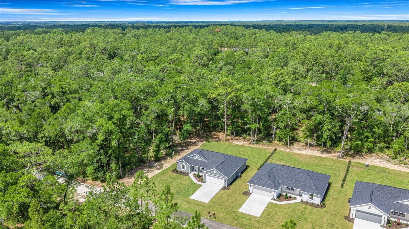Single Family Residence at 4056 SW 156TH CT, OCALA, photo 31 of 35