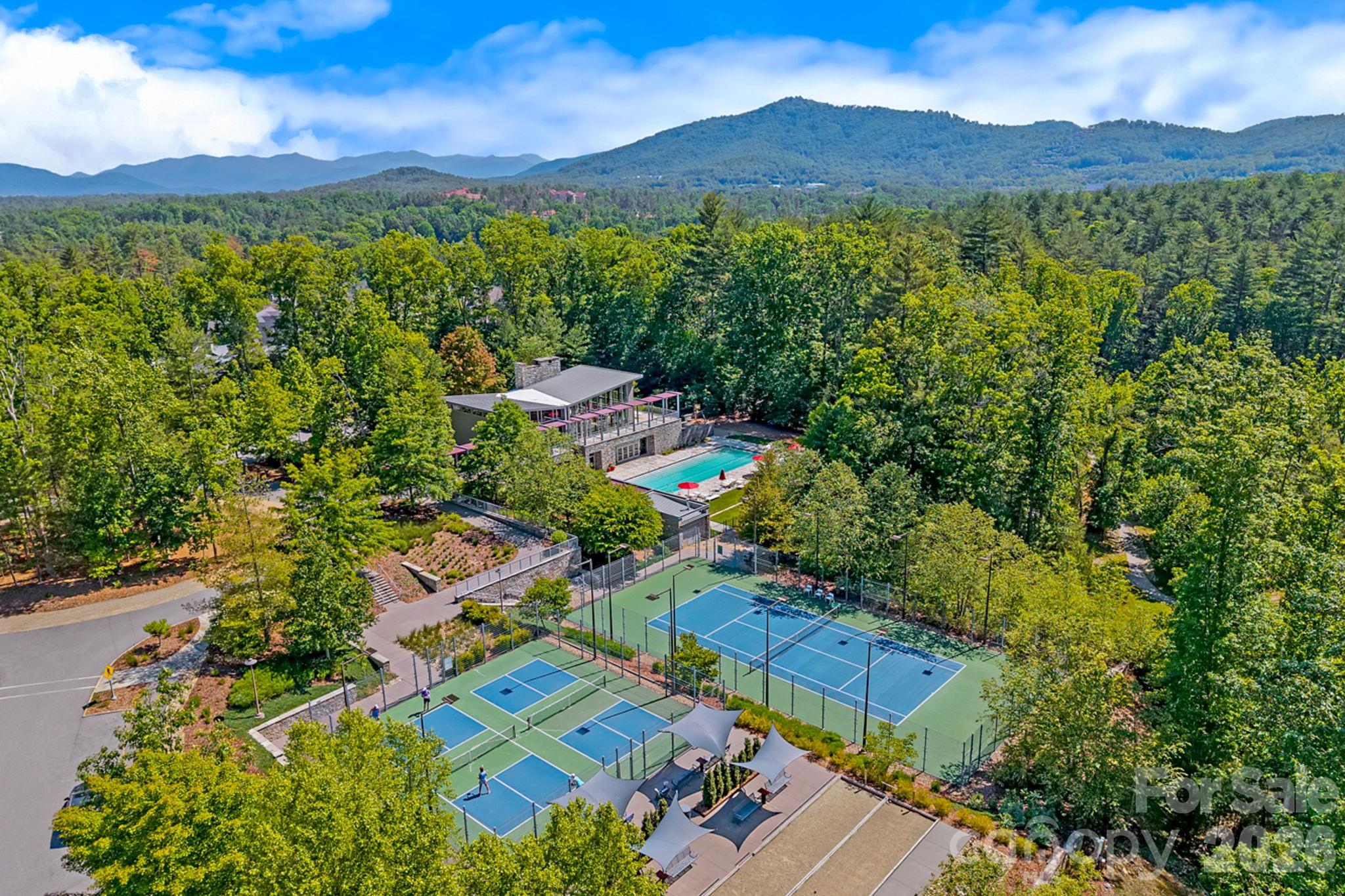 Community - 325 Flowering Vine Court, Asheville