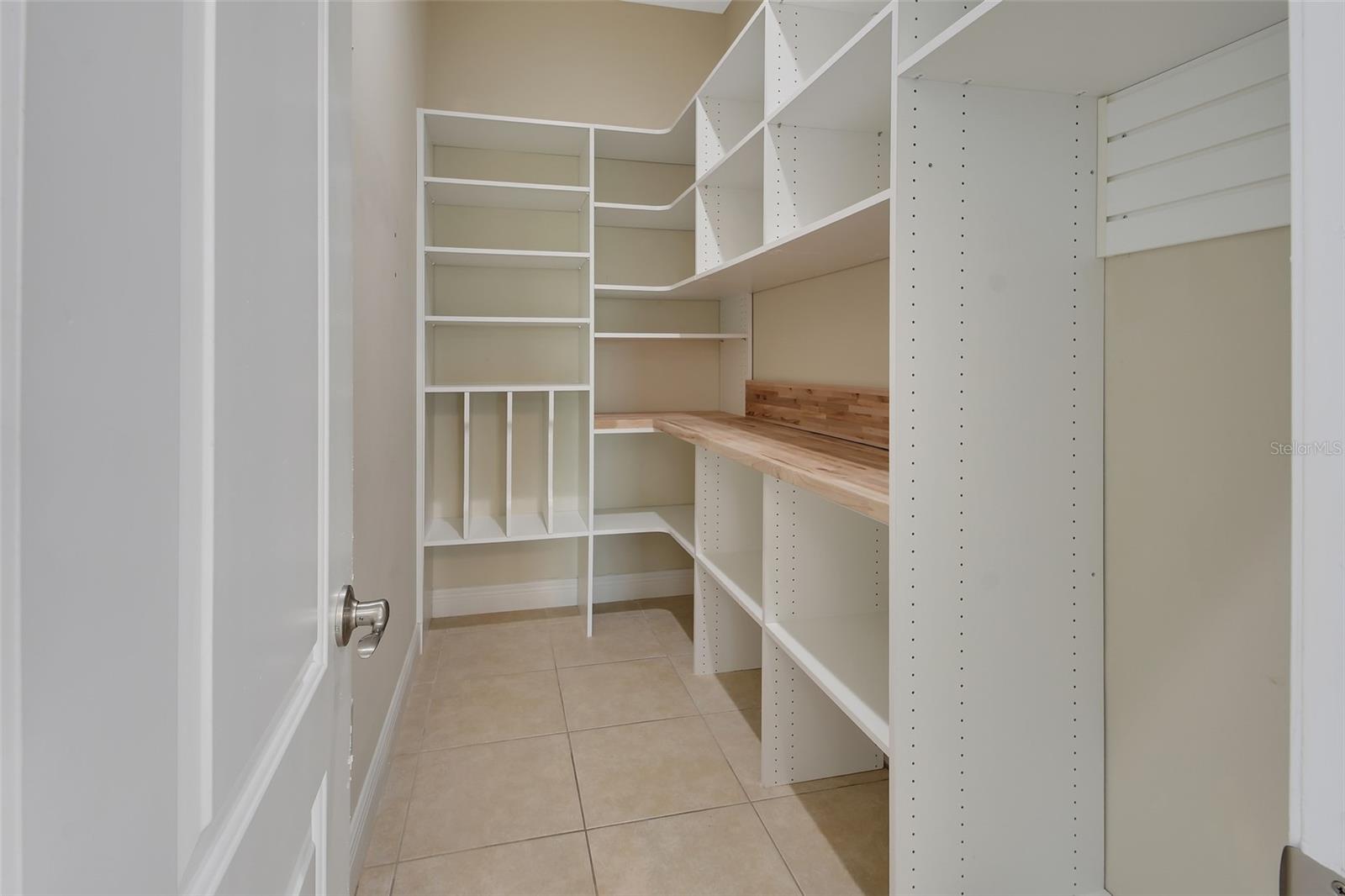 Walk-in Pantry - 2590 ERENA DR, NEW SMYRNA BEACH