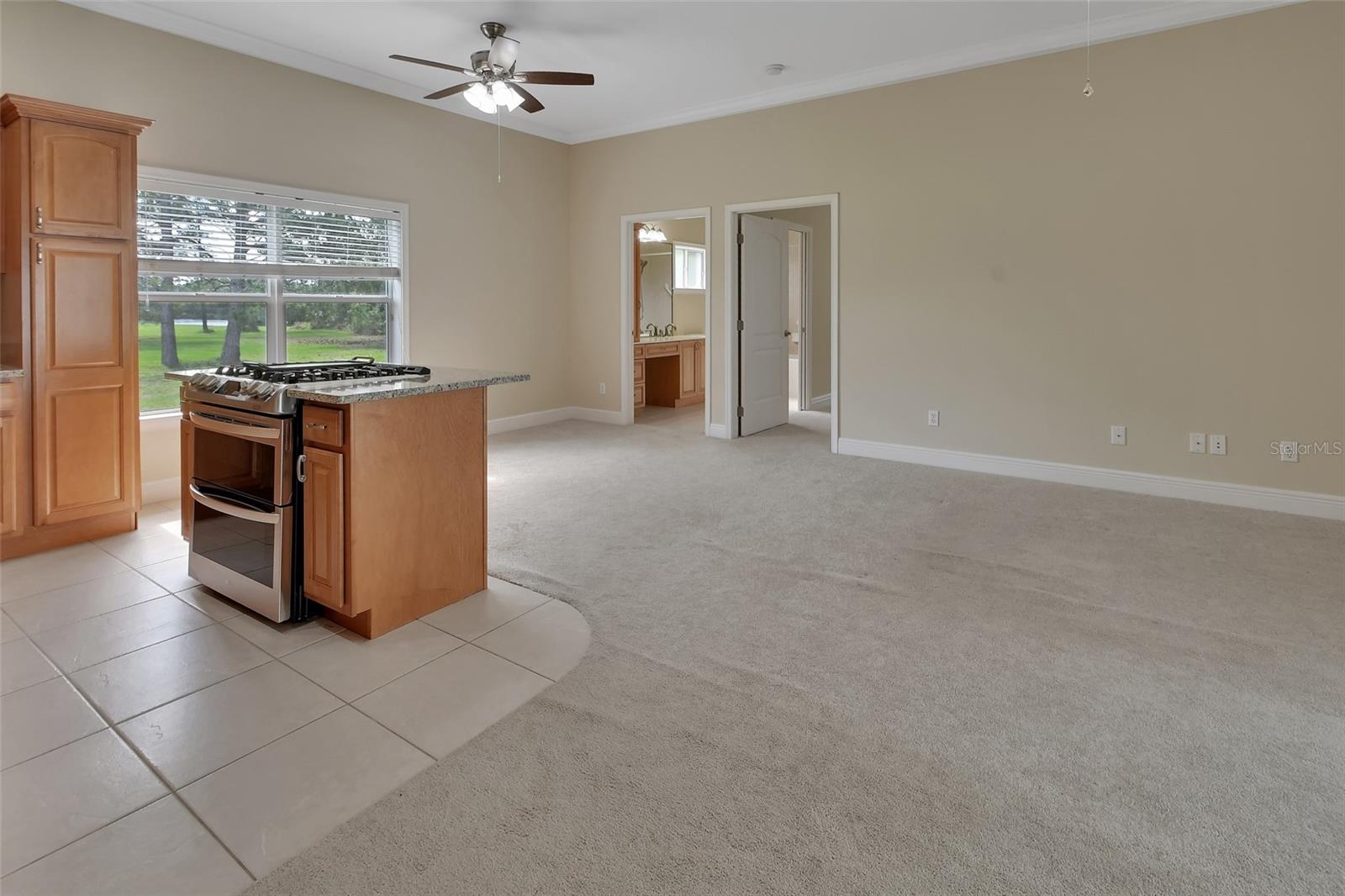 Multi-gen Suite Living Room & Kitchen - 2590 ERENA DR, NEW SMYRNA BEACH