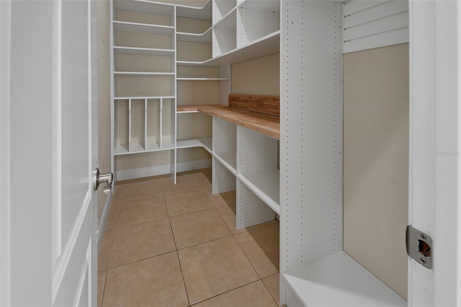 Multi-gen Suite Walk-in Closet - 2590 ERENA DR, NEW SMYRNA BEACH