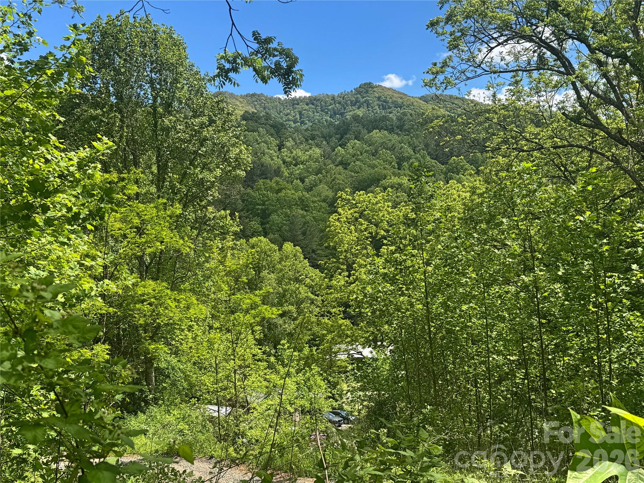 Acreage at V/L Wolf Crossing, Bakersville, photo 4 of 16